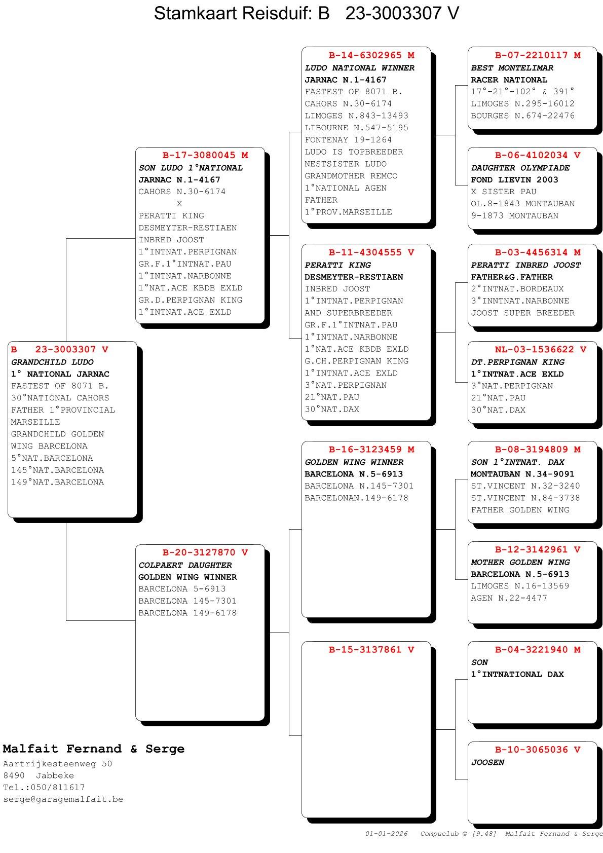 pedigree Kleindochter Ludo – 1° Nat Jarnac 