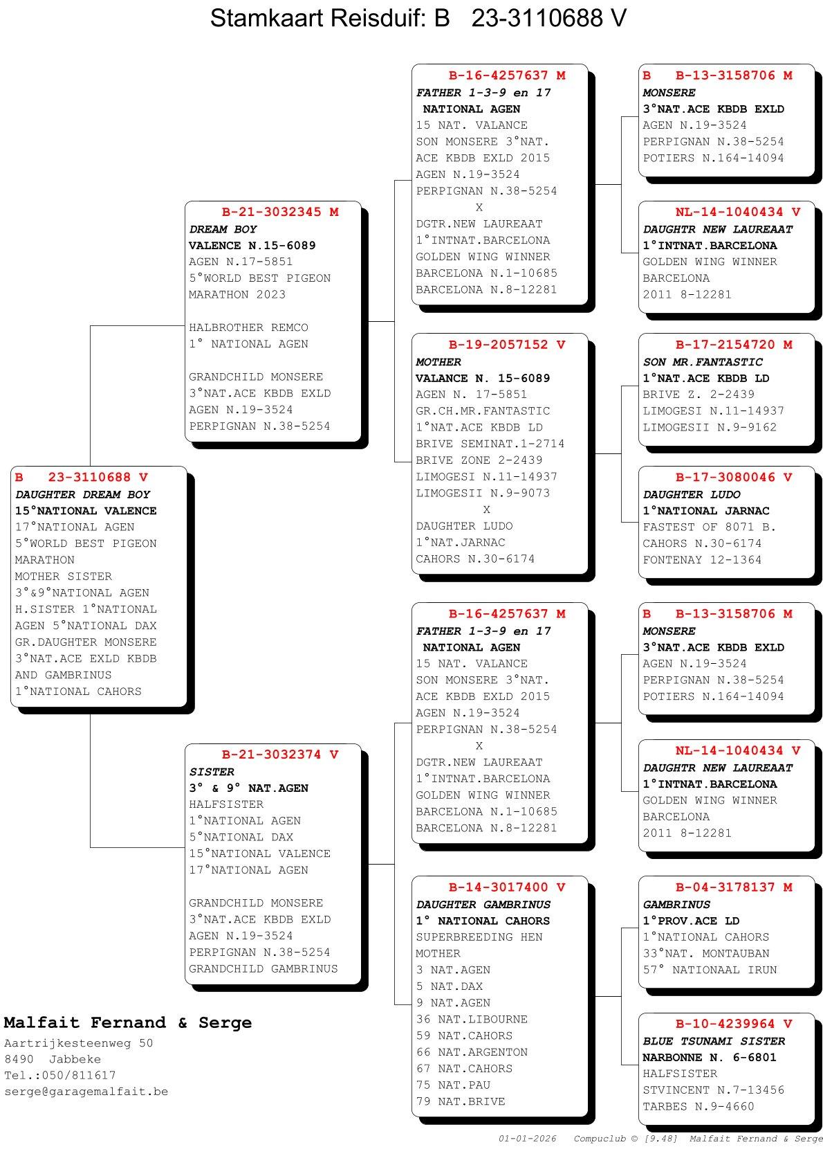 pedigree Dochter Dream Boy – 15° Nat Valence 