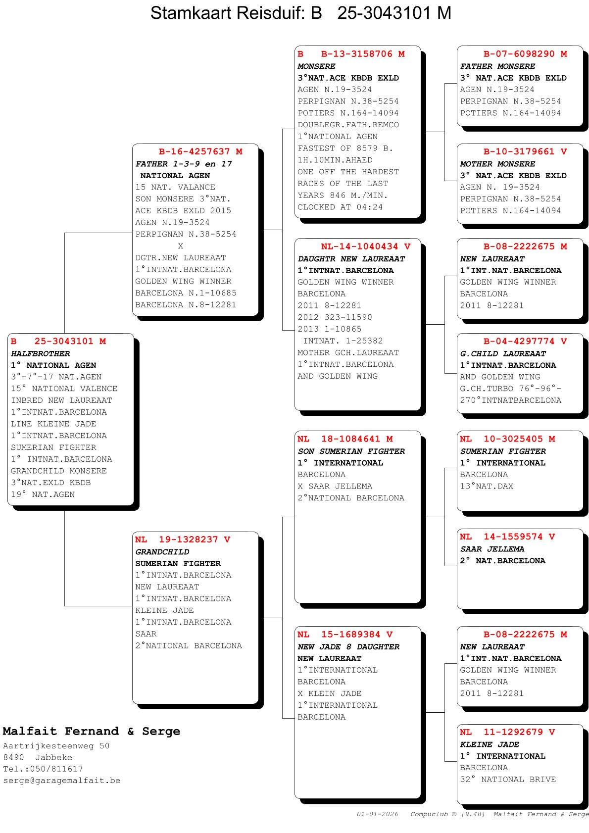 pedigree Halfbroer 1° Nat Agen 