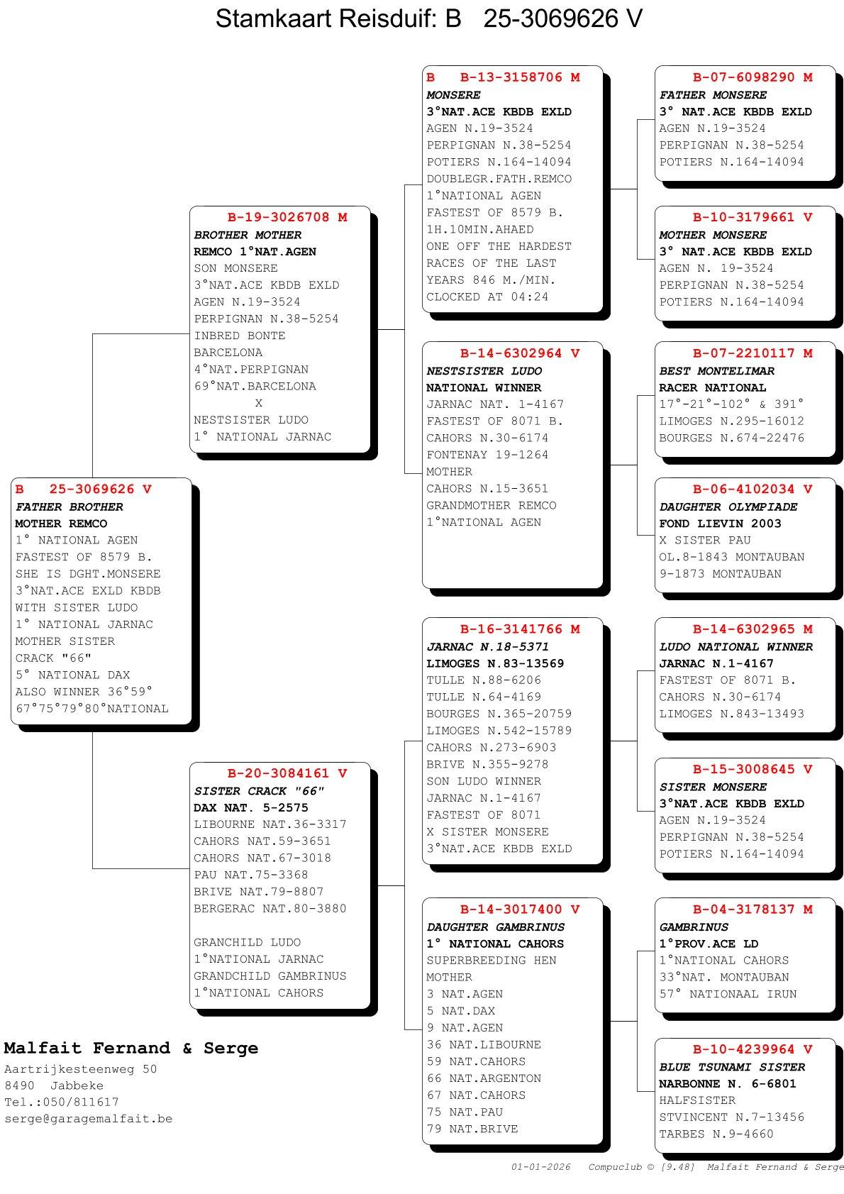 pedigree Broer moeder Remco x Sister Crack 66