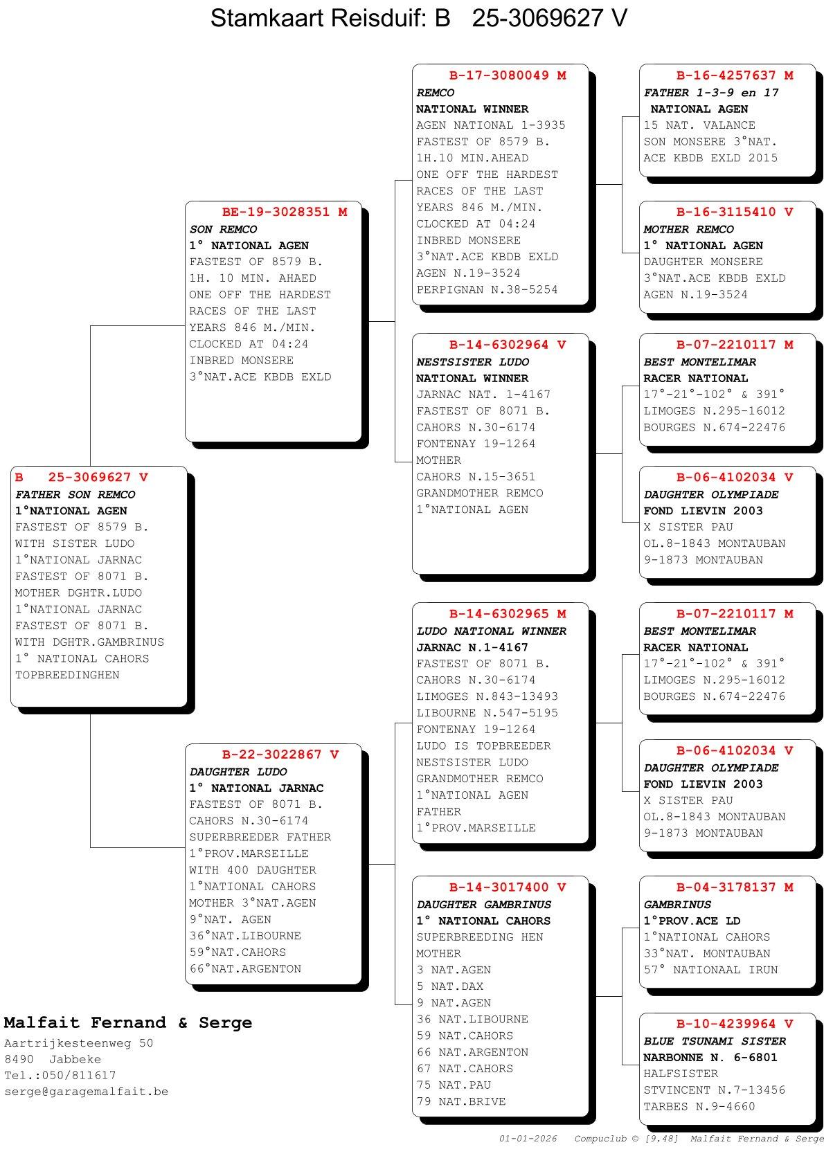 pedigree Zoon Remco x Dochter Ludo 