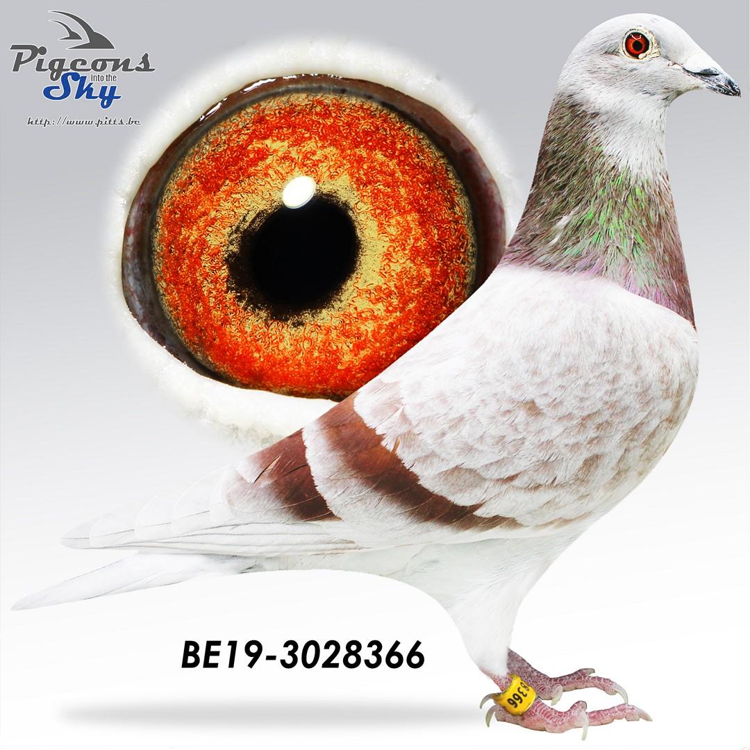 Crack 66 - ***!TOP OFFER!***