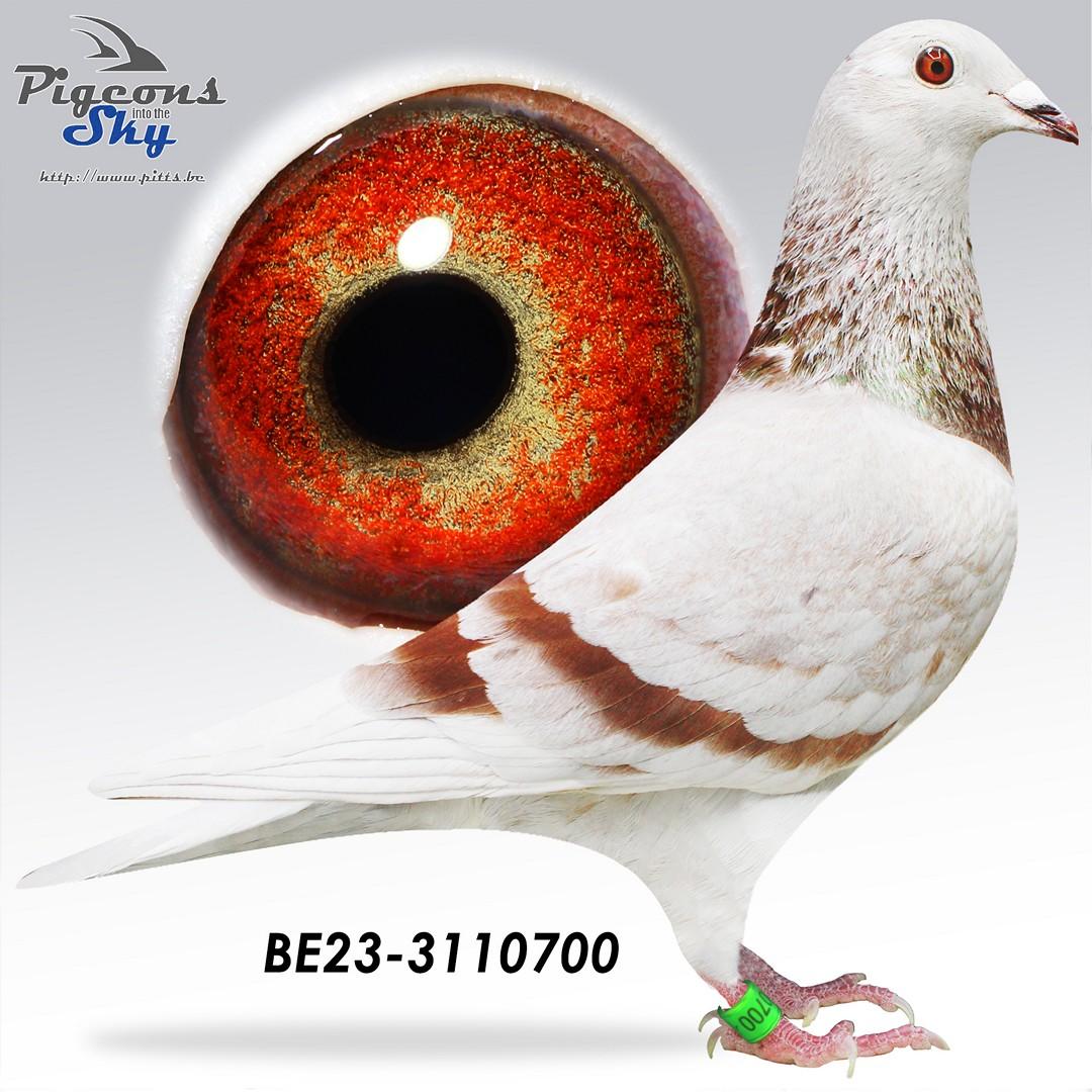 Dochter 9° Nat Agen 