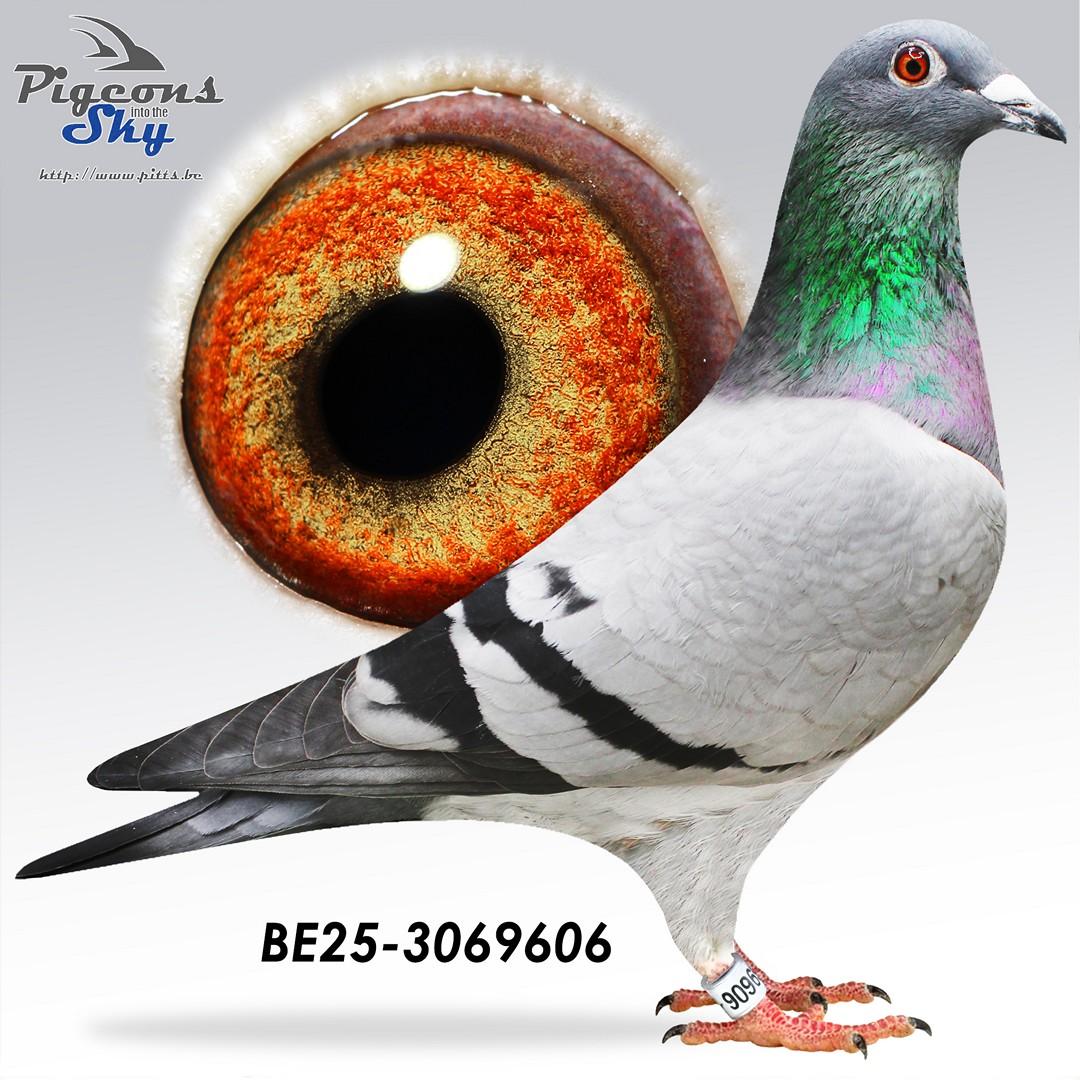 Kleindochter Andre – 1° Inat Marseille 