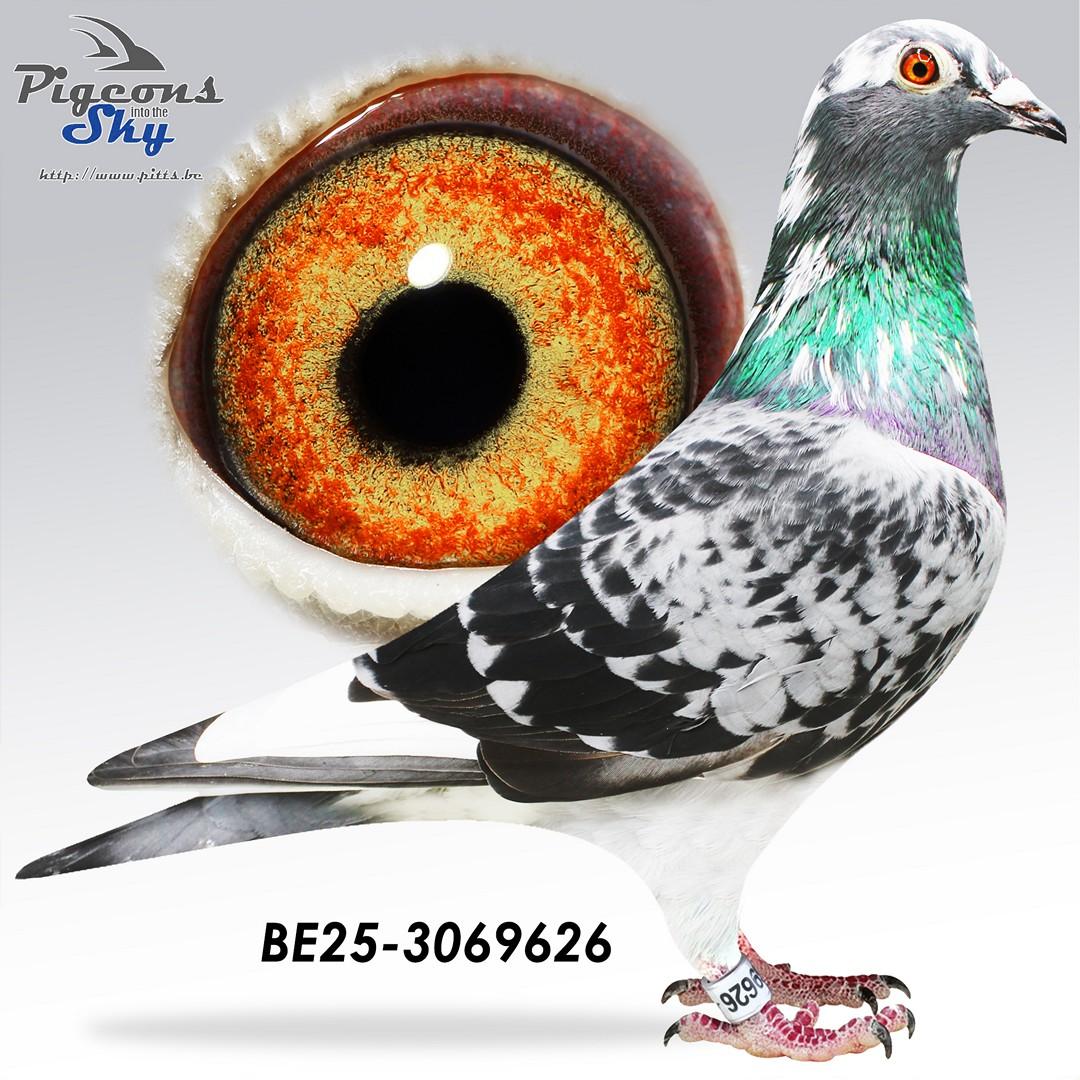 Broer moeder Remco x Sister Crack 66