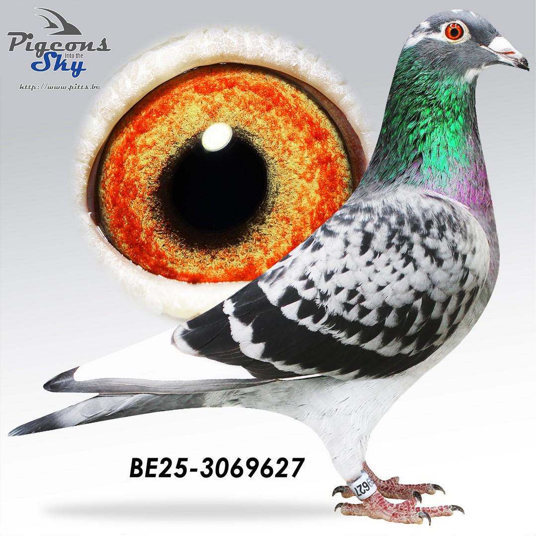 Zoon Remco x Dochter Ludo 