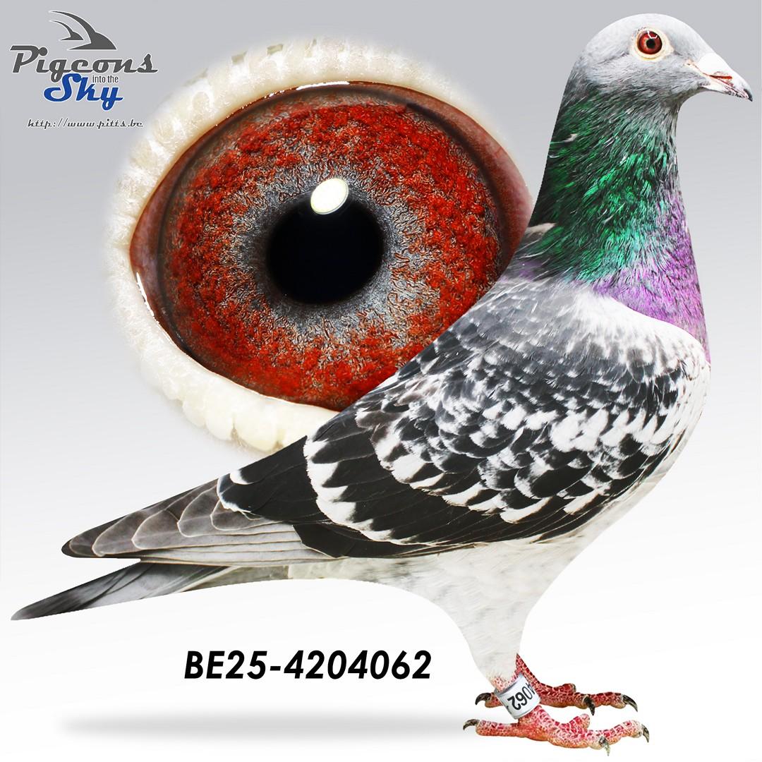 4° Nat Valence x Halfzus 1° Nat Agen 