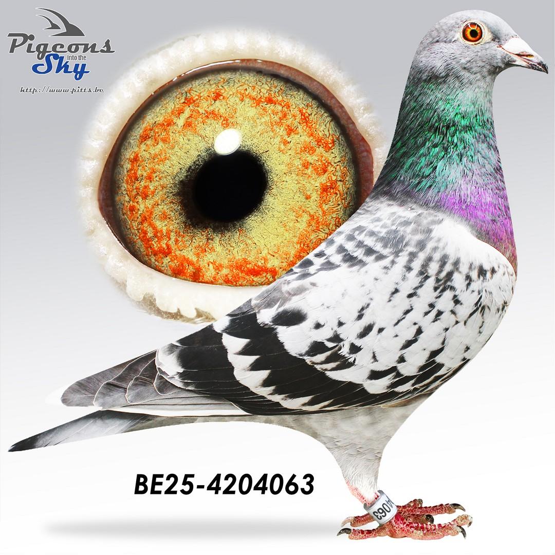 4° Nat Valence x Halfzus 1° Nat Agen 