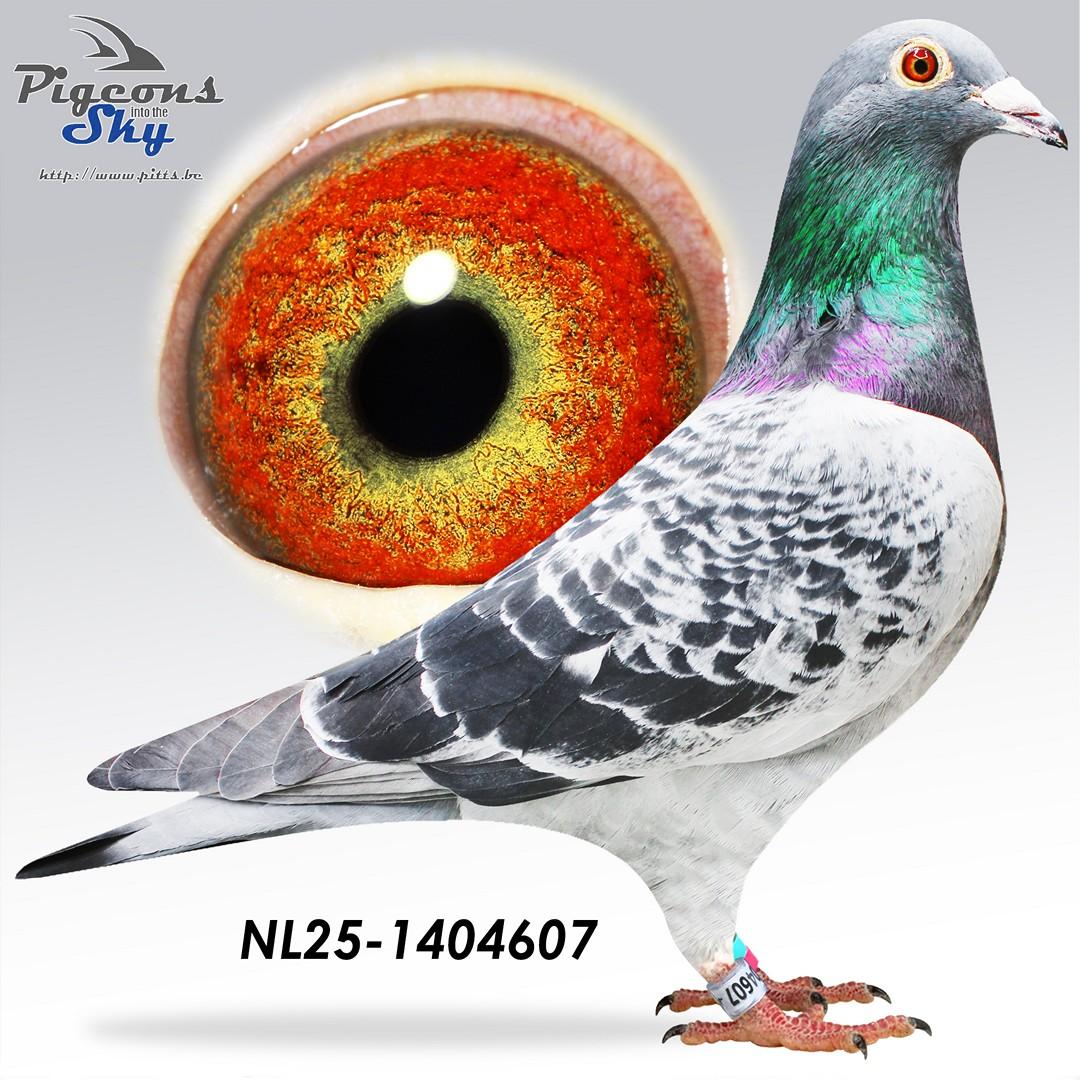 Don Michel Alike x Nicegirl