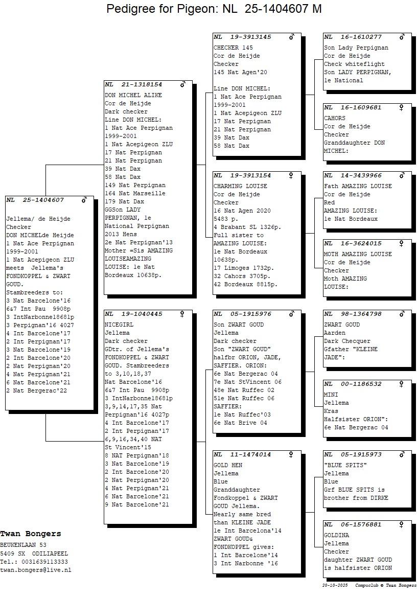 pedigree Don Michel Alike x Nicegirl