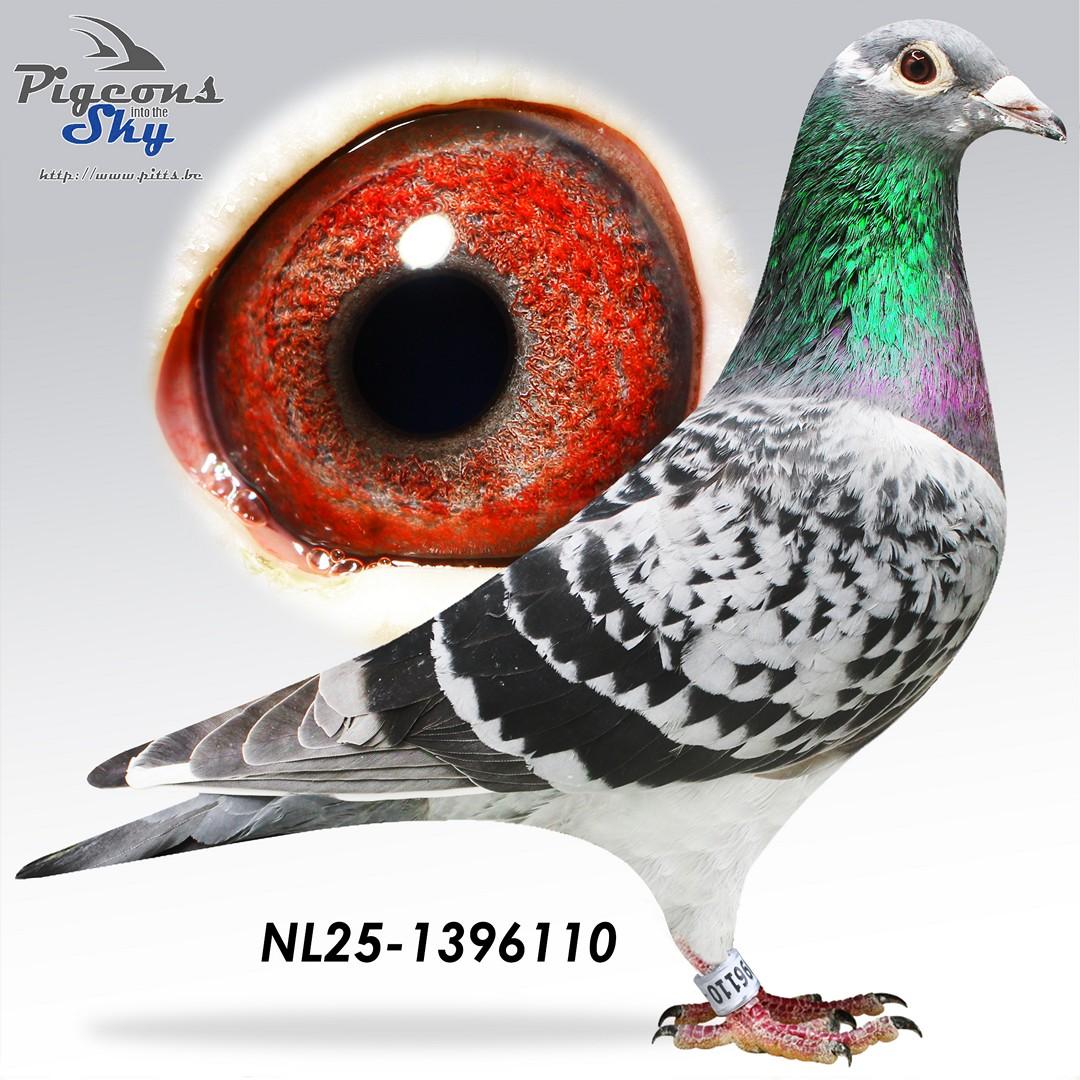 Kleinzoon Kittel x Kleindochter Kittel 