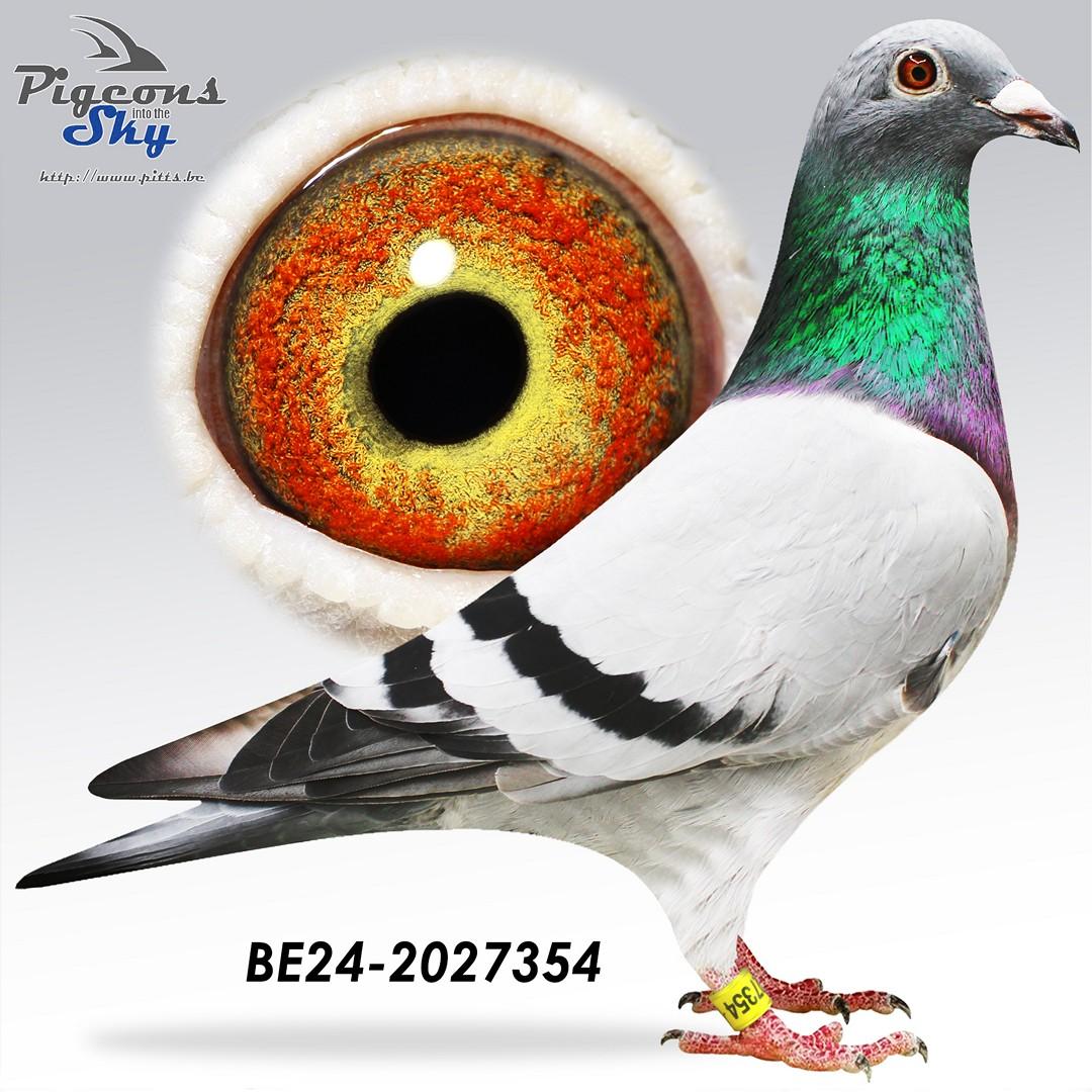 All In One Number 2 x Eline’s Creone