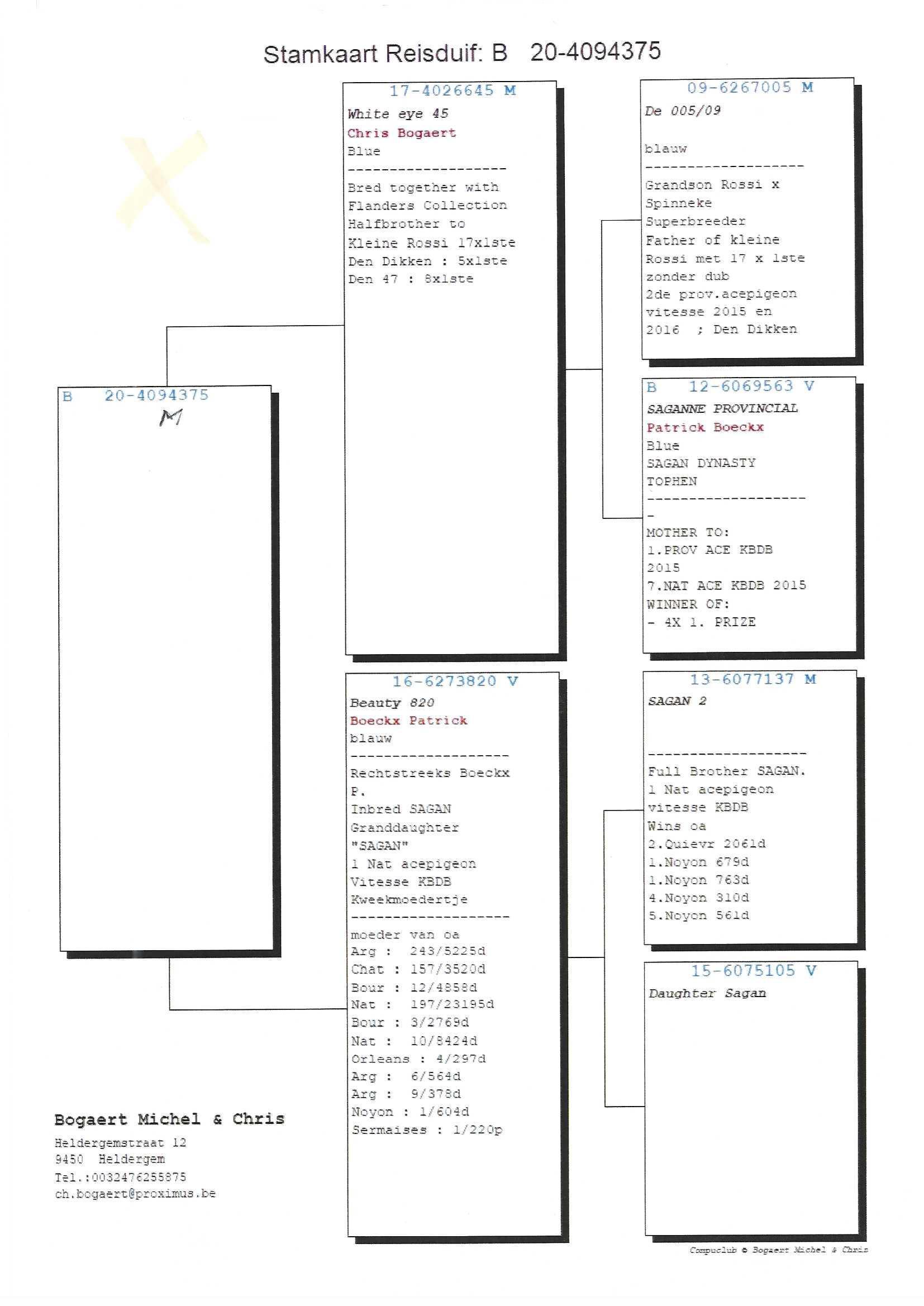 pedigree De 375, Lijn Sagan 1e Nationale Asduif Snelheid (Patrick Boeckx)
