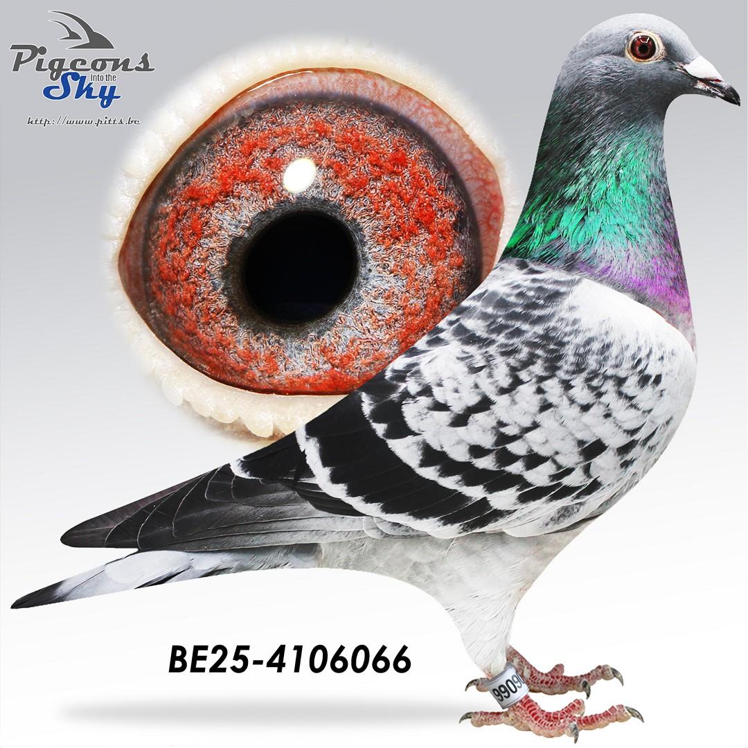 Caprio 518 x Big Lady