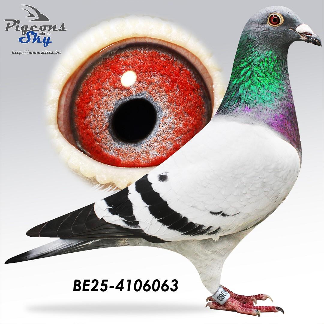 Dirk 257 x Kleindochter Blauw Adje