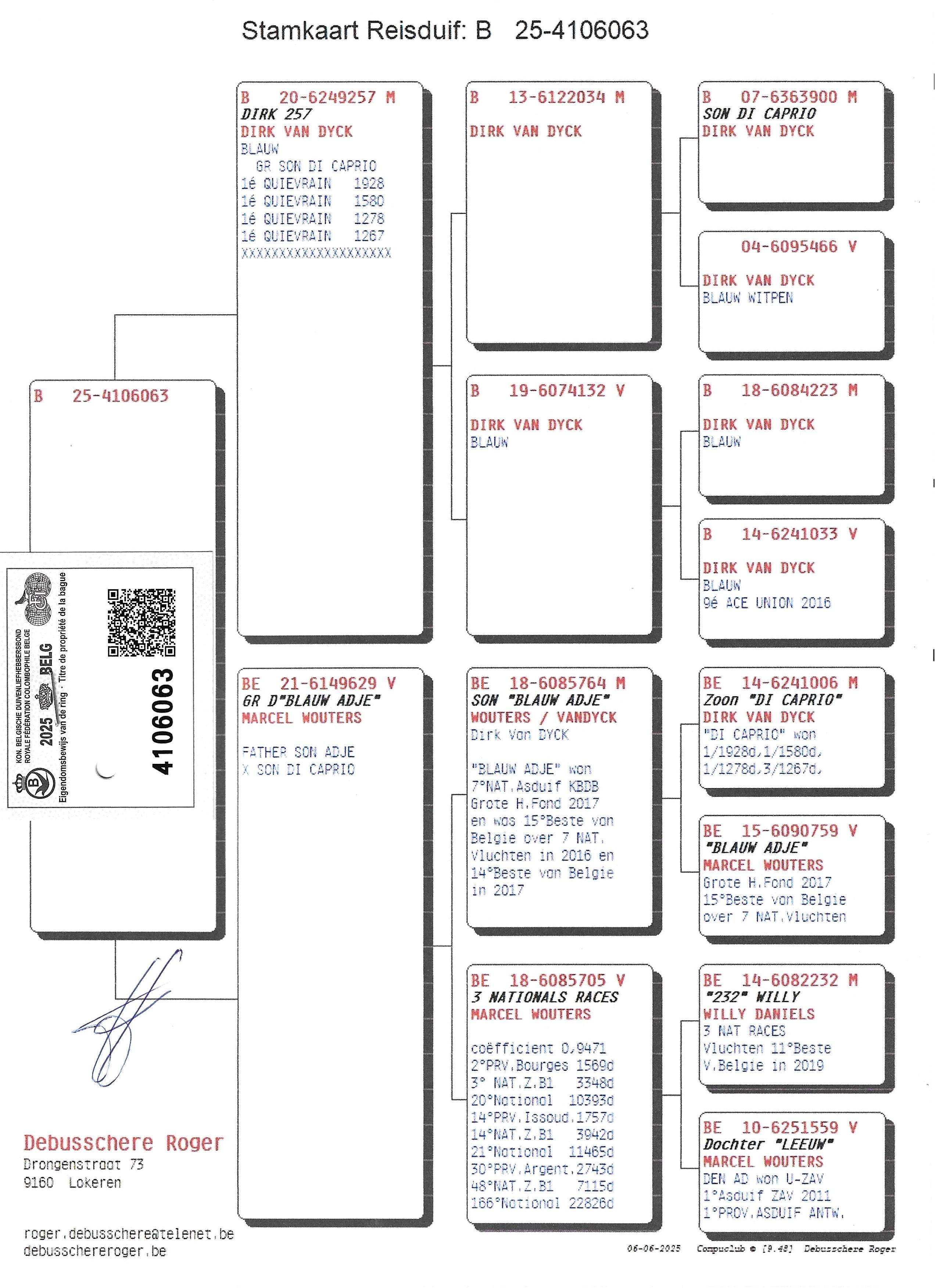 pedigree Dirk 257 x Kleindochter Blauw Adje