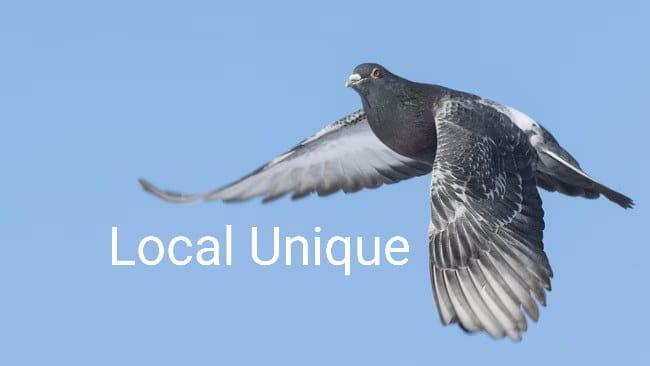 Vente aux enchères: Local Unique Ronse