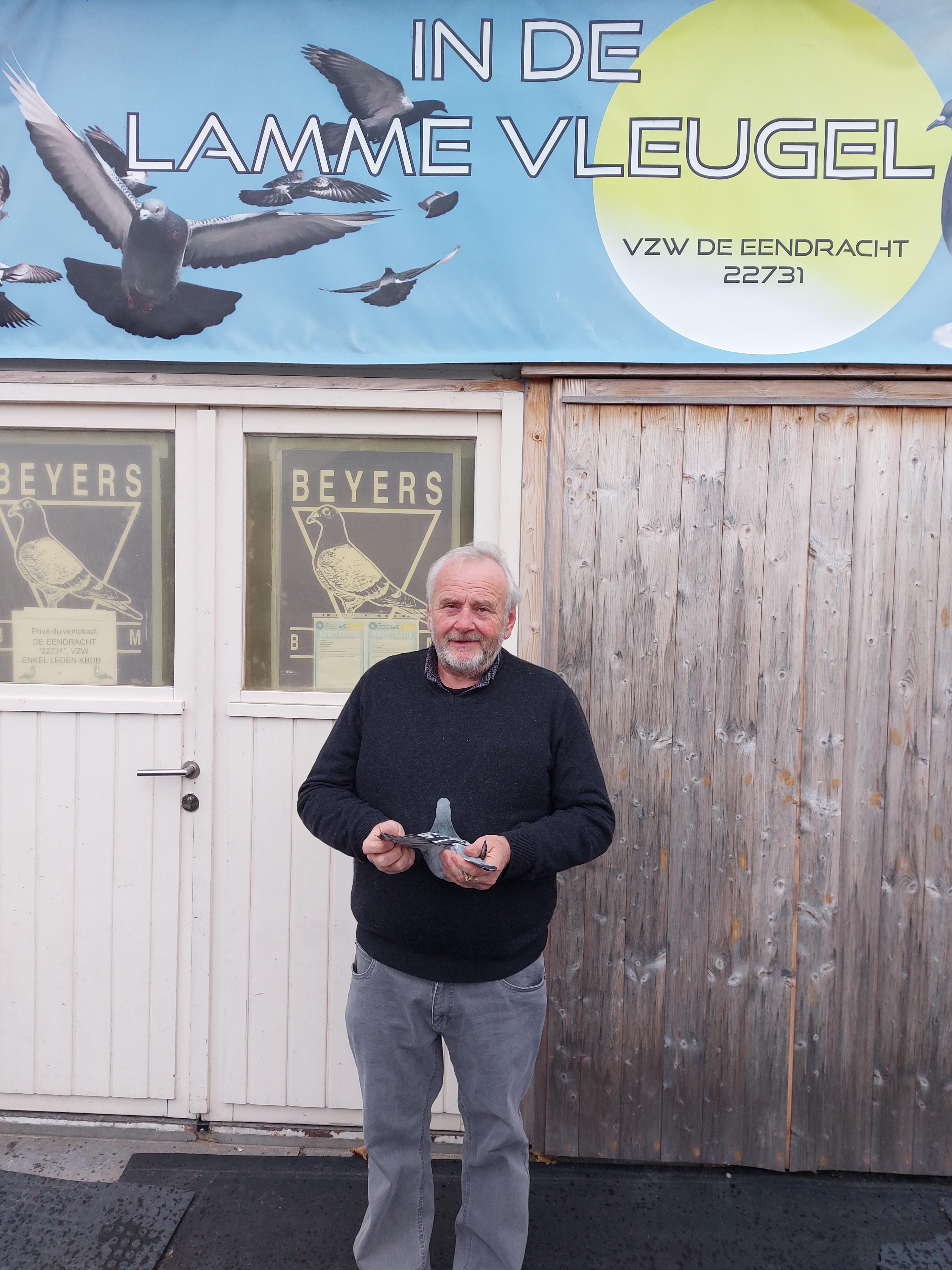 Dedobbeleer Dirk (Herne) 3 koppel eieren van de beste vliegduiven zware Fond