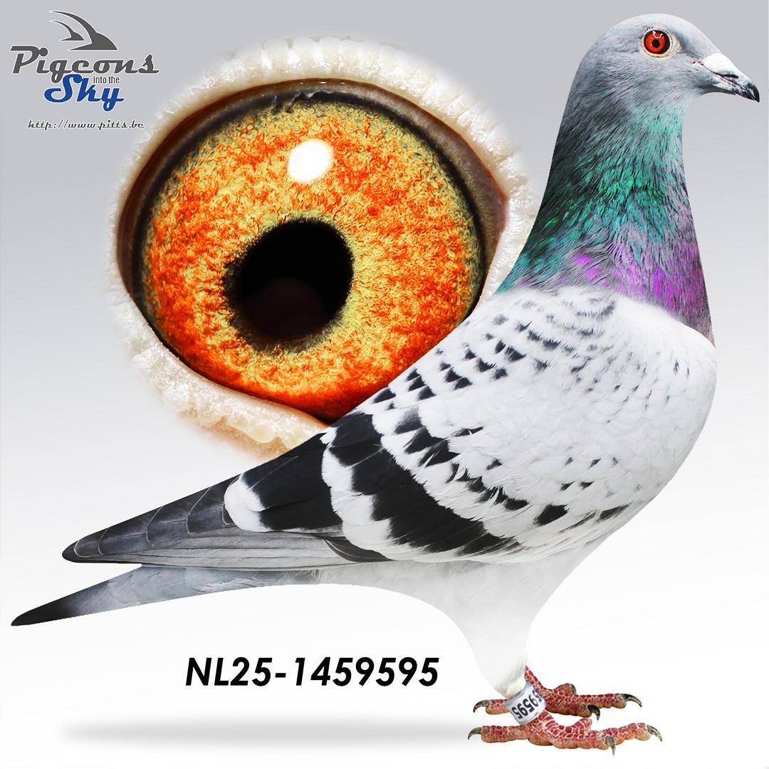 Kleinkind 1° Nat Marseille 