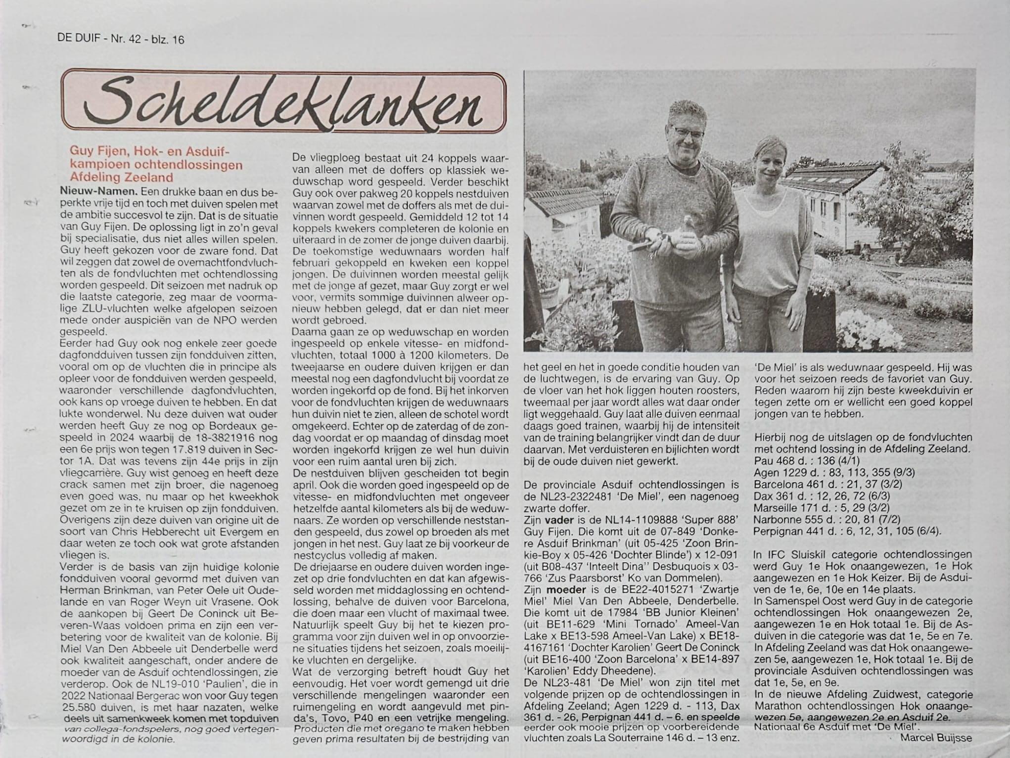 pedigree Fijen Guy ( Nieuw Namen) schenkt een jonge duif 2026 op afspraak.