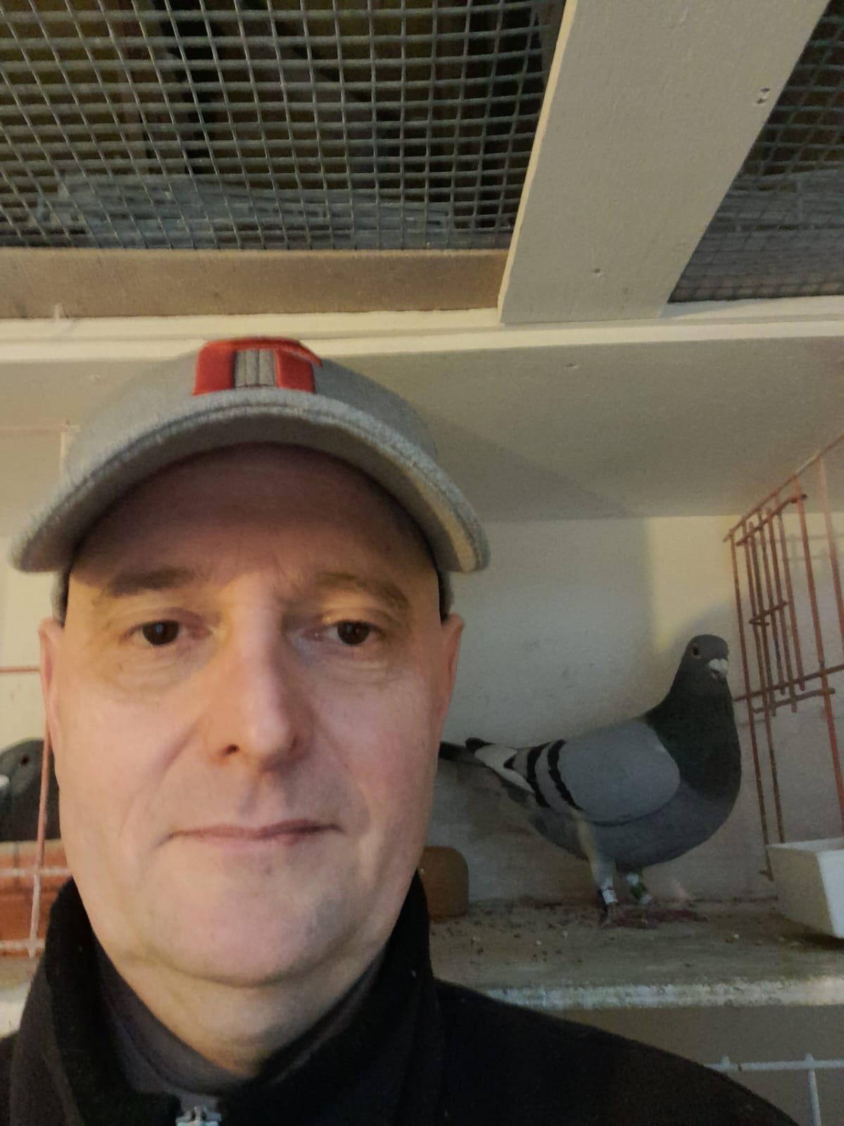 Bovijn Odo & Filip: jonge duif O.A.