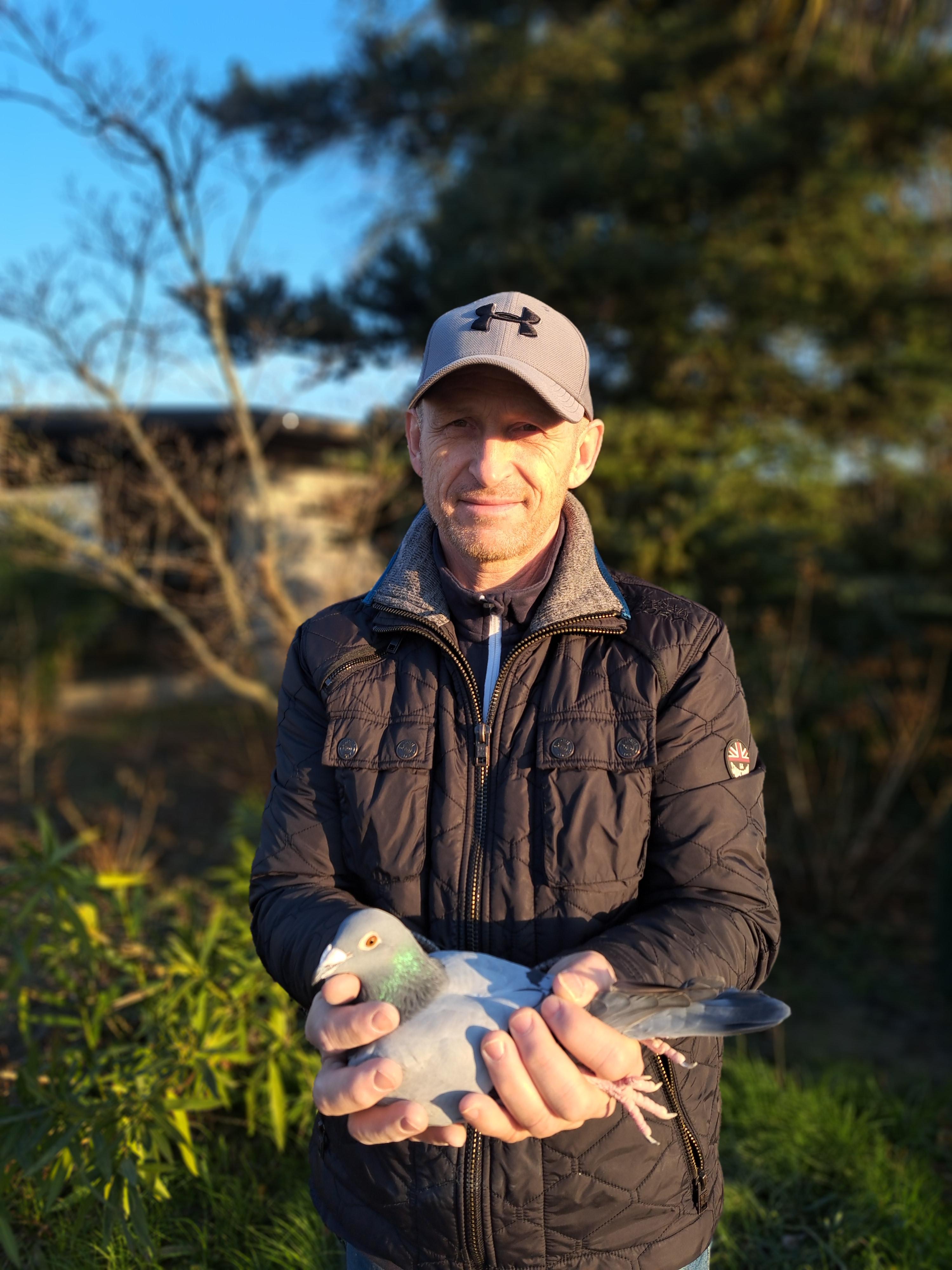 Debaere Gunther: Schenkt een jonge duif O.A.