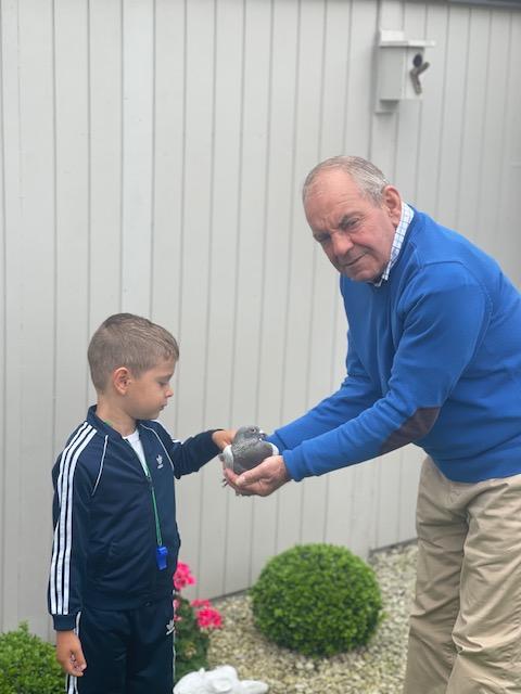 D'Hoop Ronny: Schenkt een jong T.P./O.A.