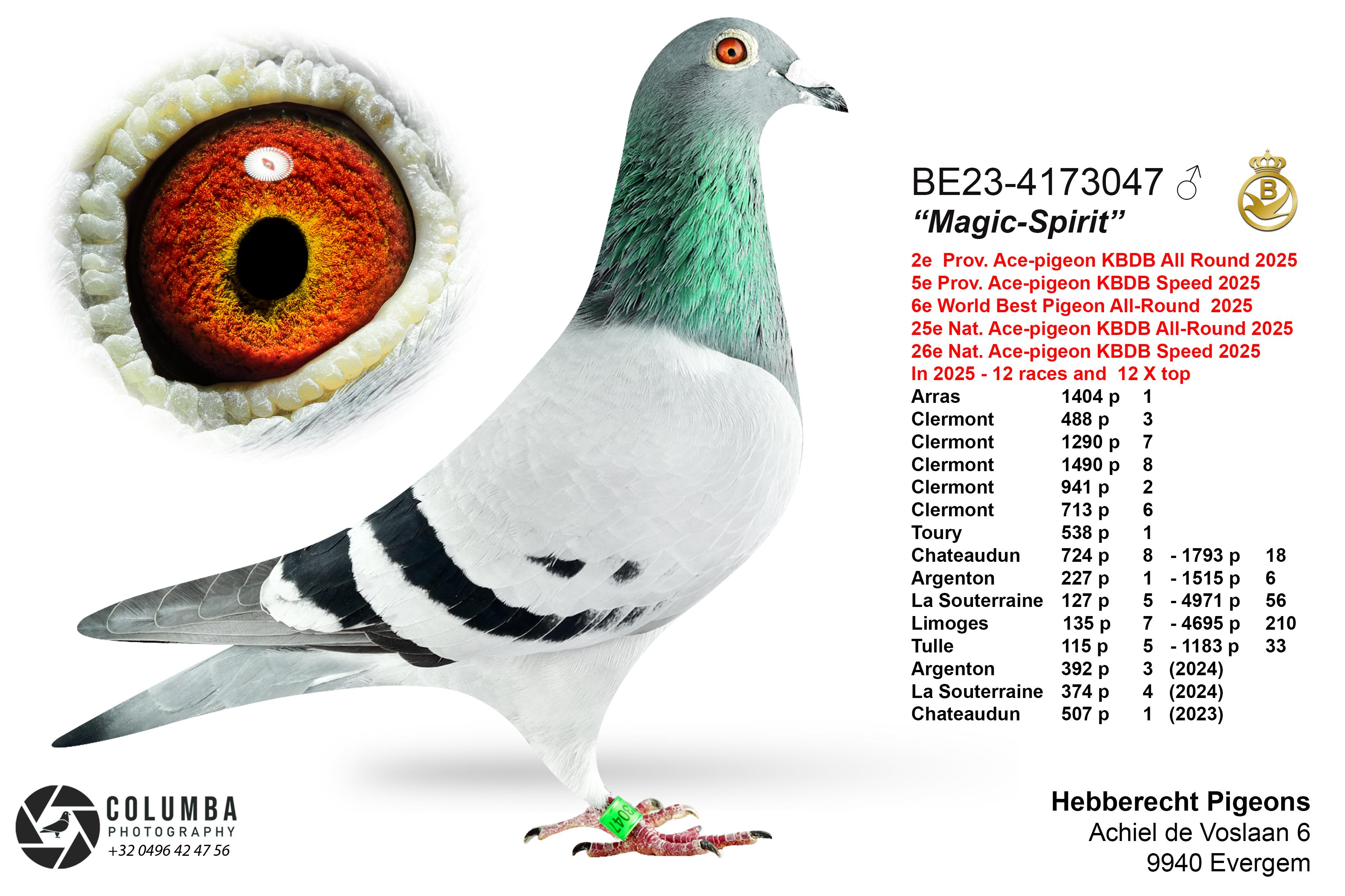 Hebberecht Chris *** SUPERAANBIEDING *** - Afbeelding 3