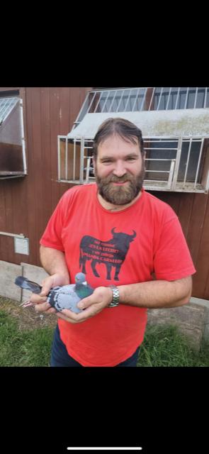 FOJON JOSE - Schellebelle