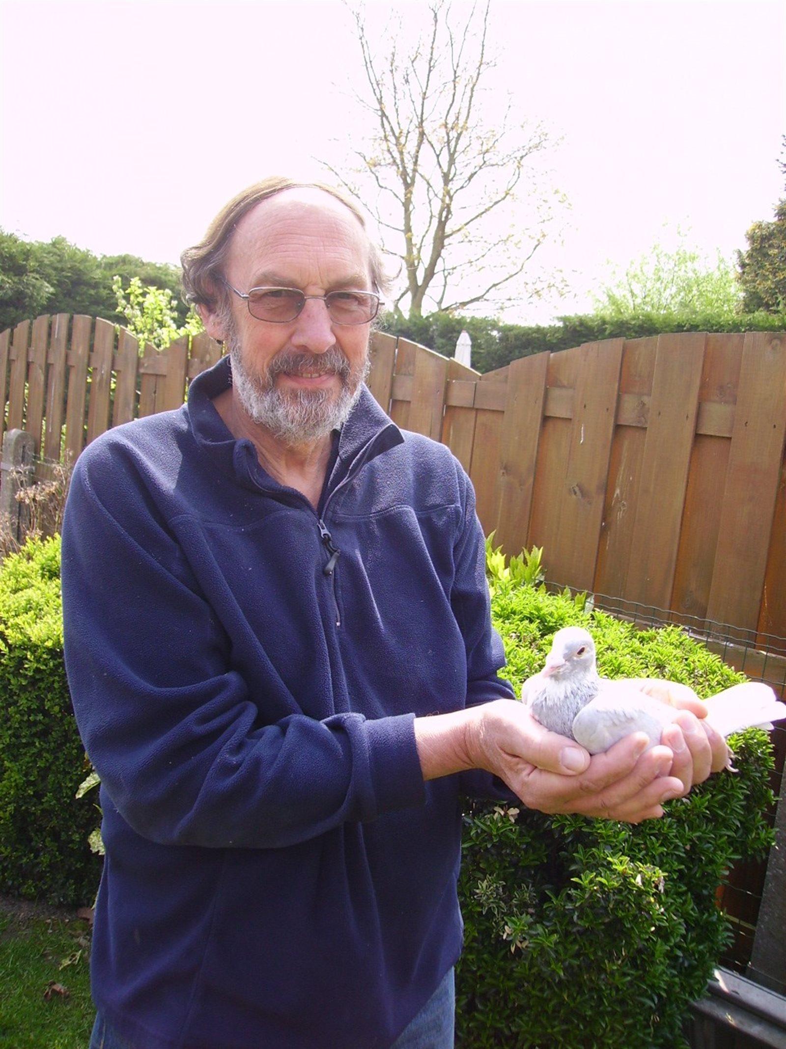 RAEMDONCK JEAN-PIERRE -- Hamme