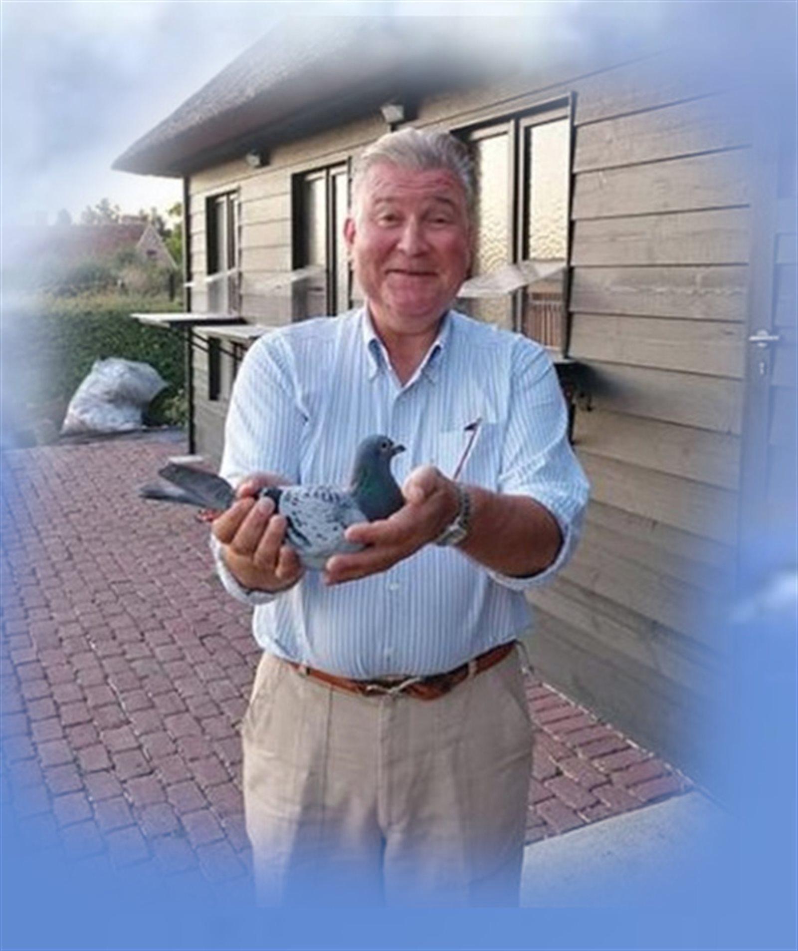 VAN DEN BERGHE BERT - Wortegem-Petegem