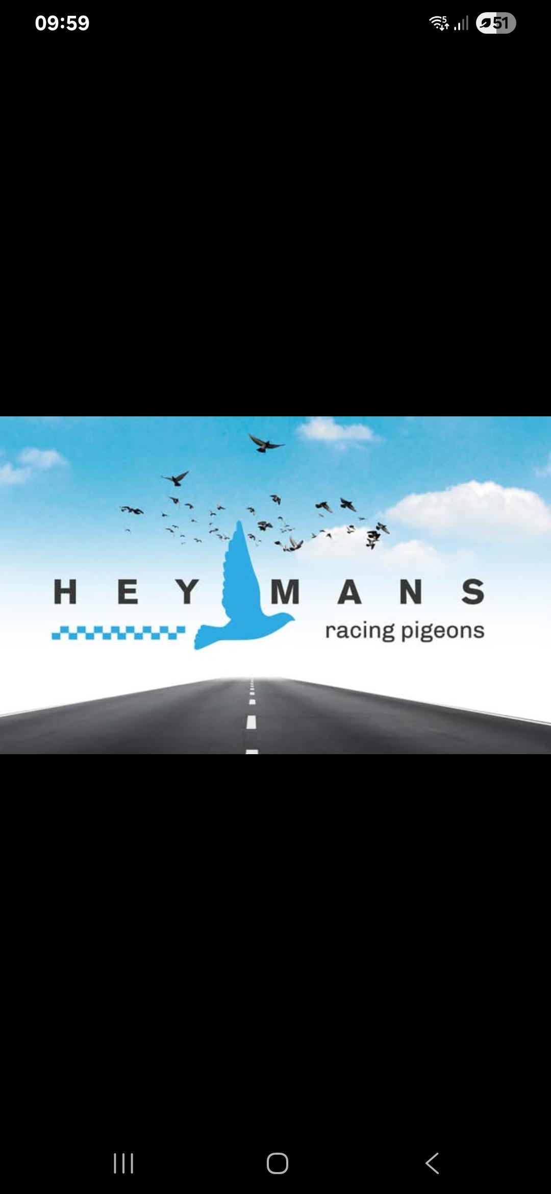 Heymans Daniel Racing Pigeons Jonge duif 2026 op afspraak