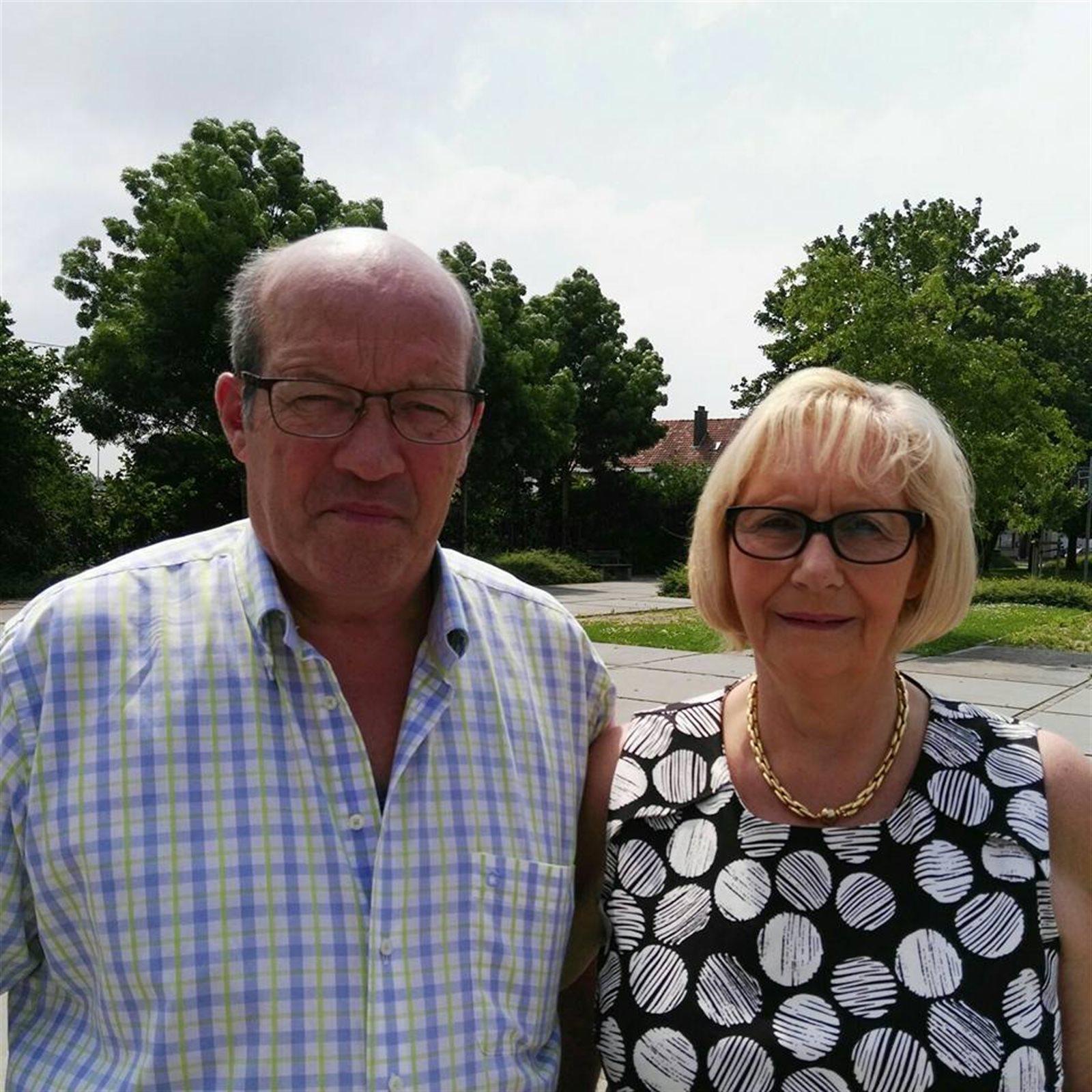 Lagae Ronny Gits Jonge duif 2026 op afspraak