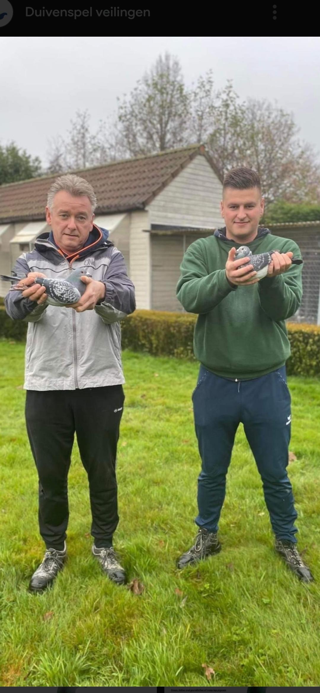 Moens Wim en Bram Aspelare Jonge duif 2026 op afspraak