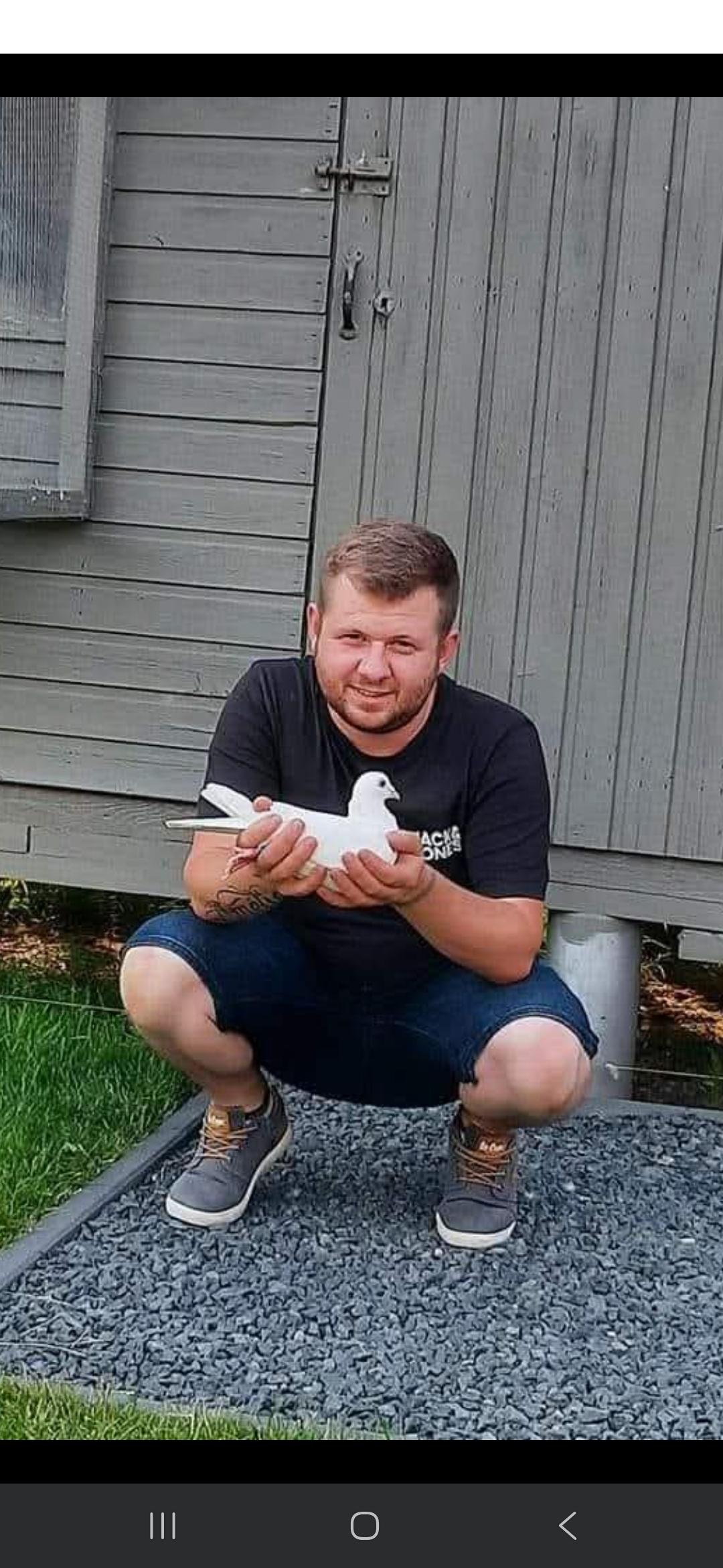 Valkeneers Foeke Zonhoven Jonge duif 2026 op afspraak