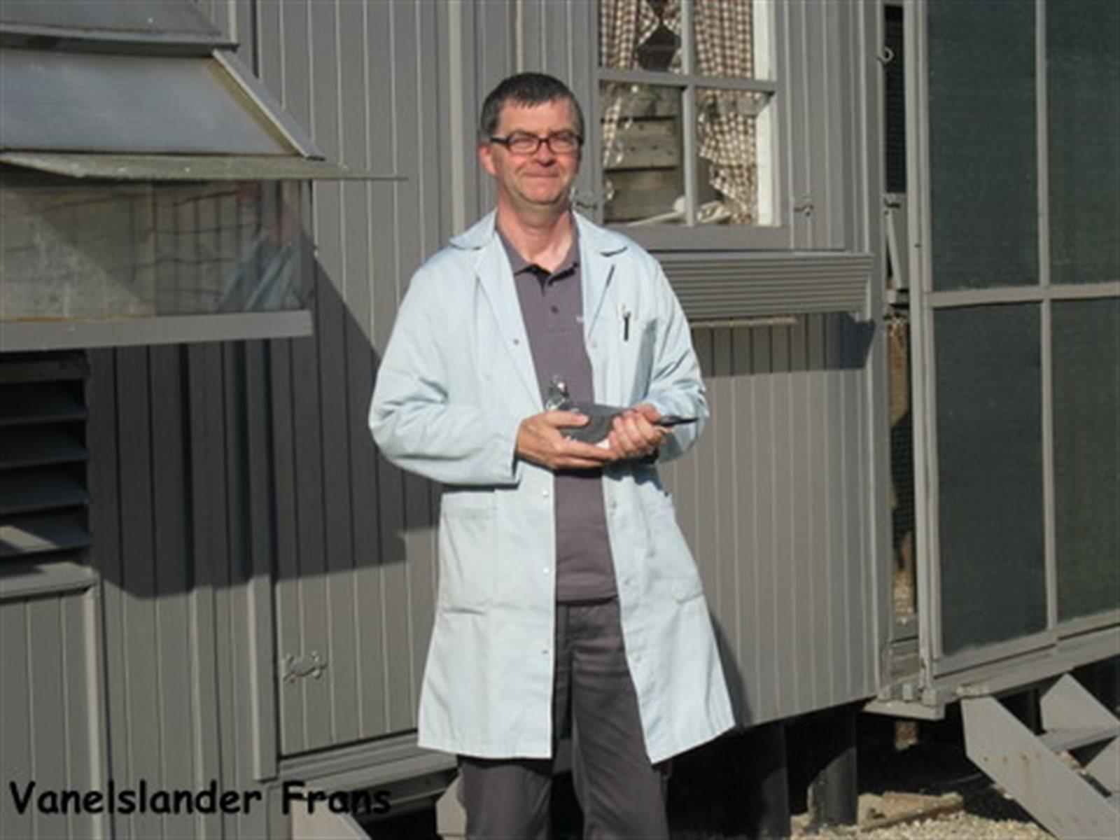 Vanelslander Frans Roeselare Jonge duif 2026 op afspraak