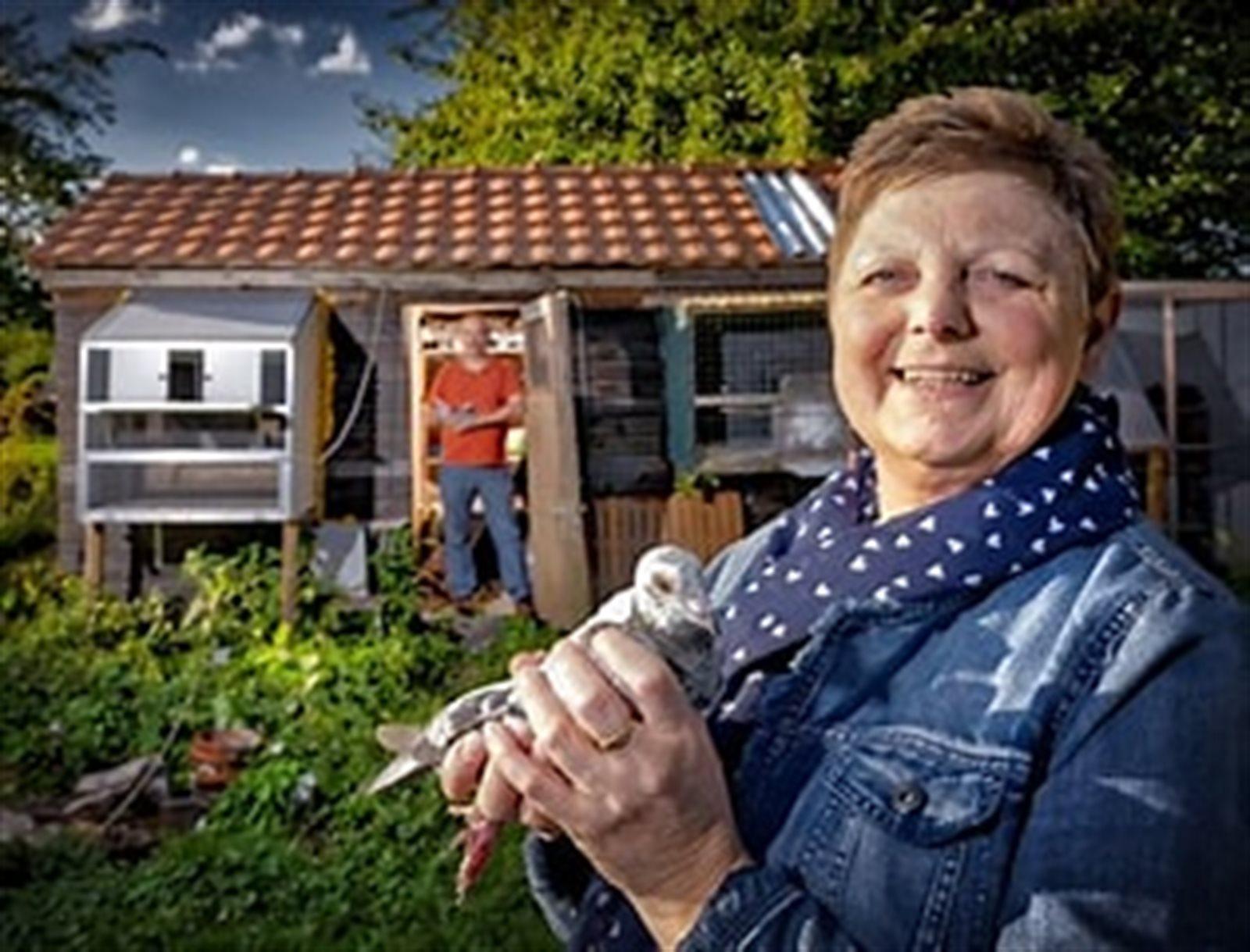 Erkens - Simaels Christel en Patrick Vliermaal Jonge duif 2026 op afspraak