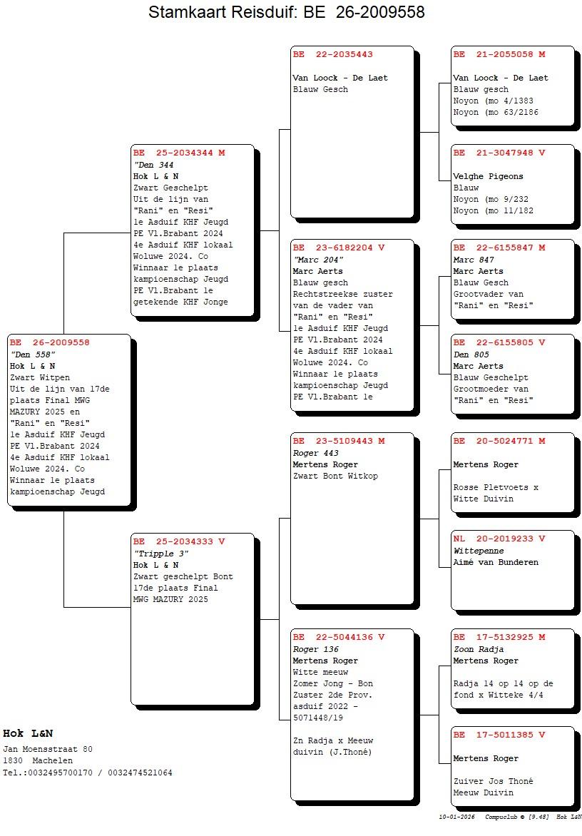 pedigree "Den 558"