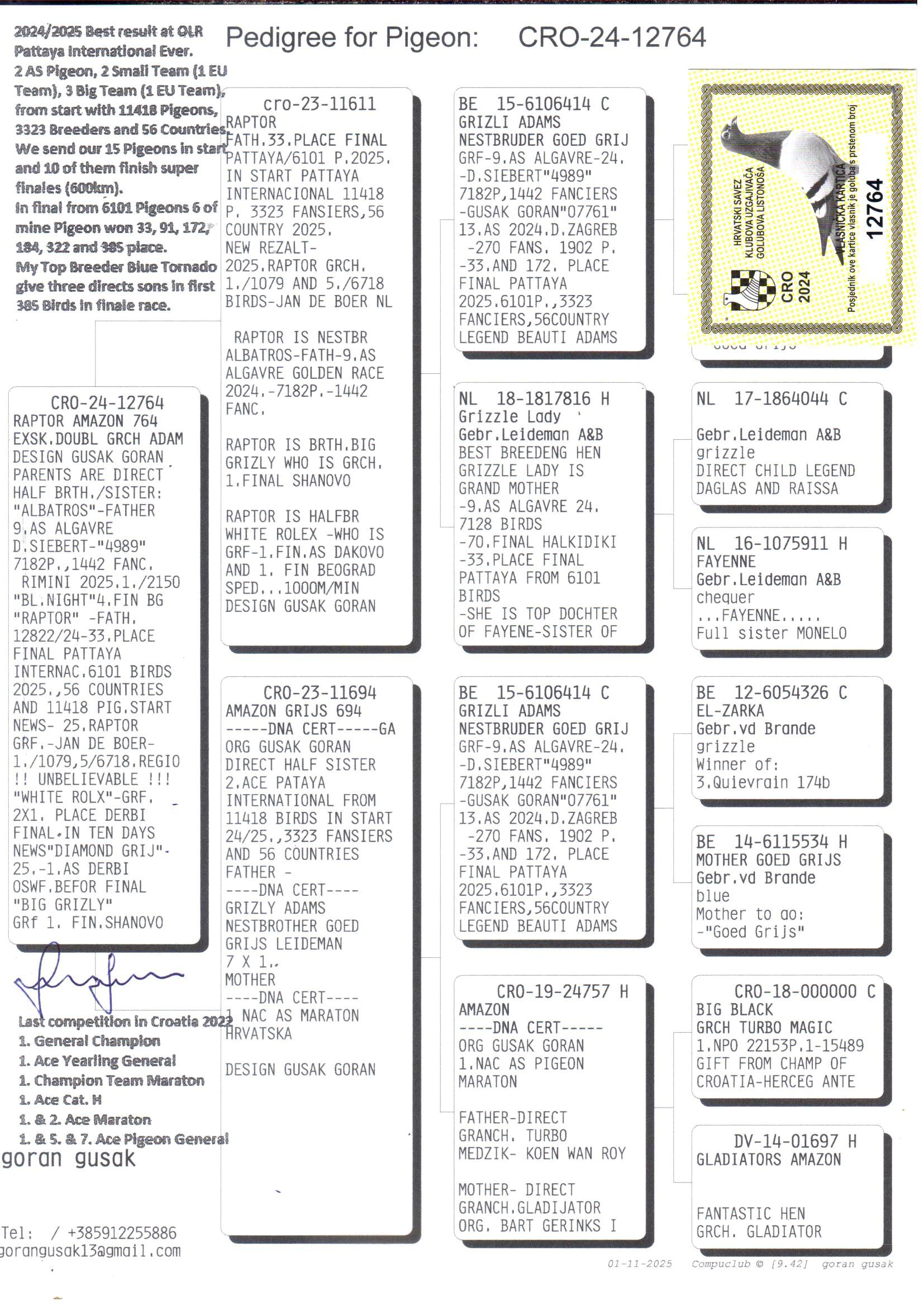 pedigree Raptor Amazon 764 