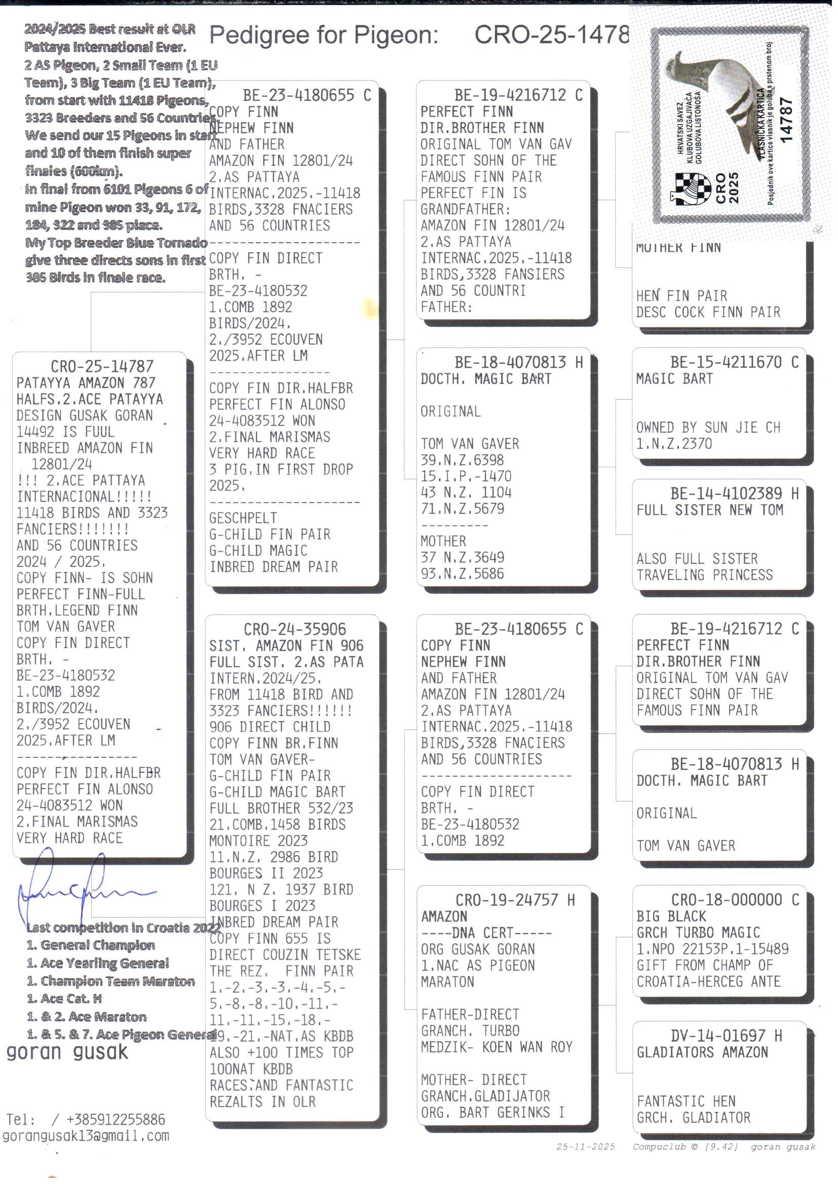 pedigree Pattaya Amazon 787 