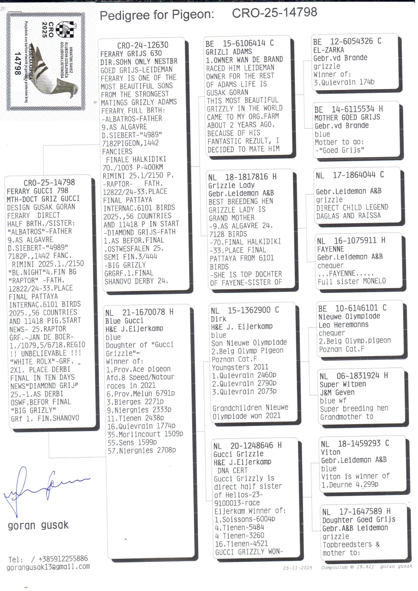 pedigree Ferary Gucci 798 