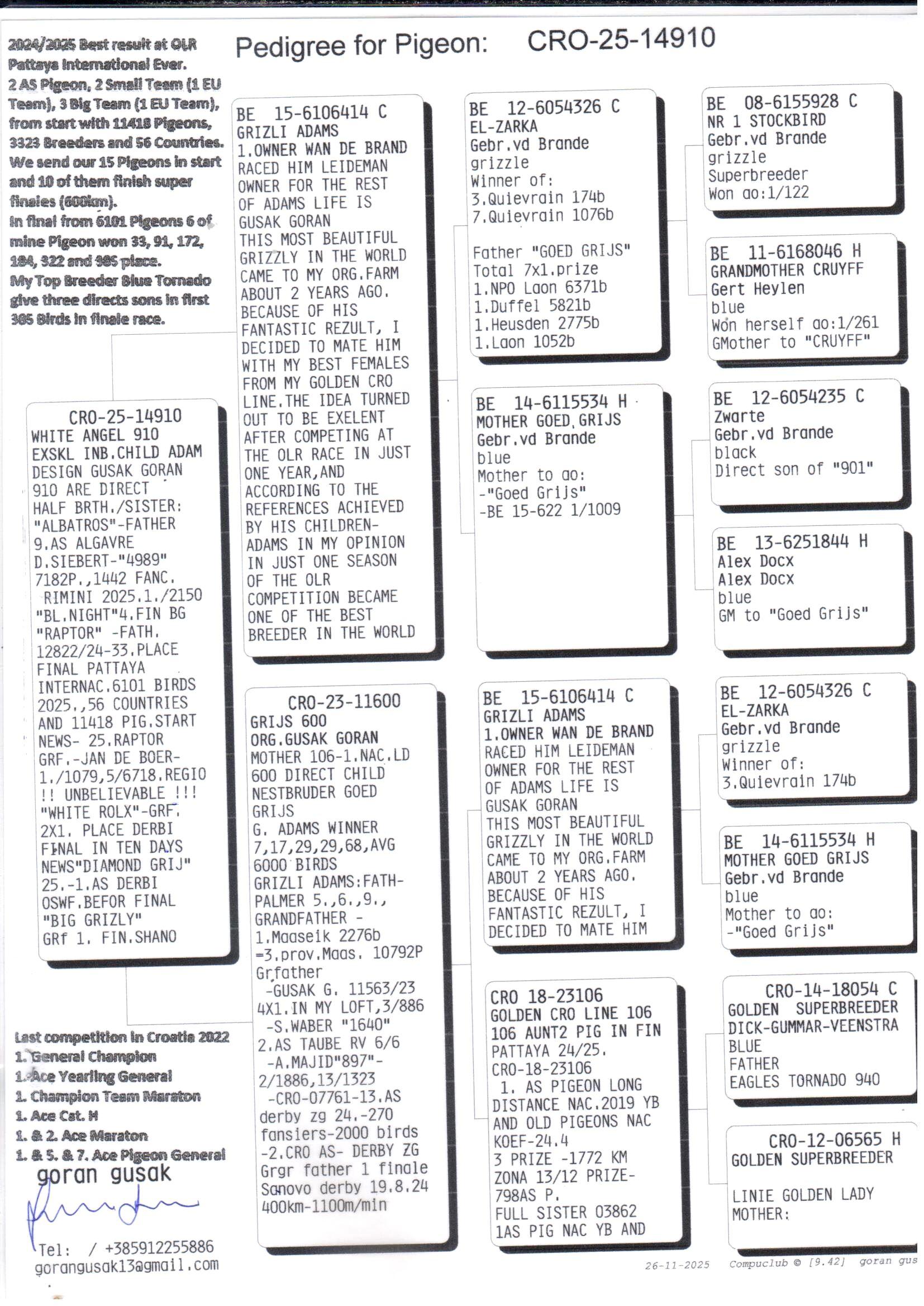 pedigree **HYPEREXCLUSIVE** White Angel 910 