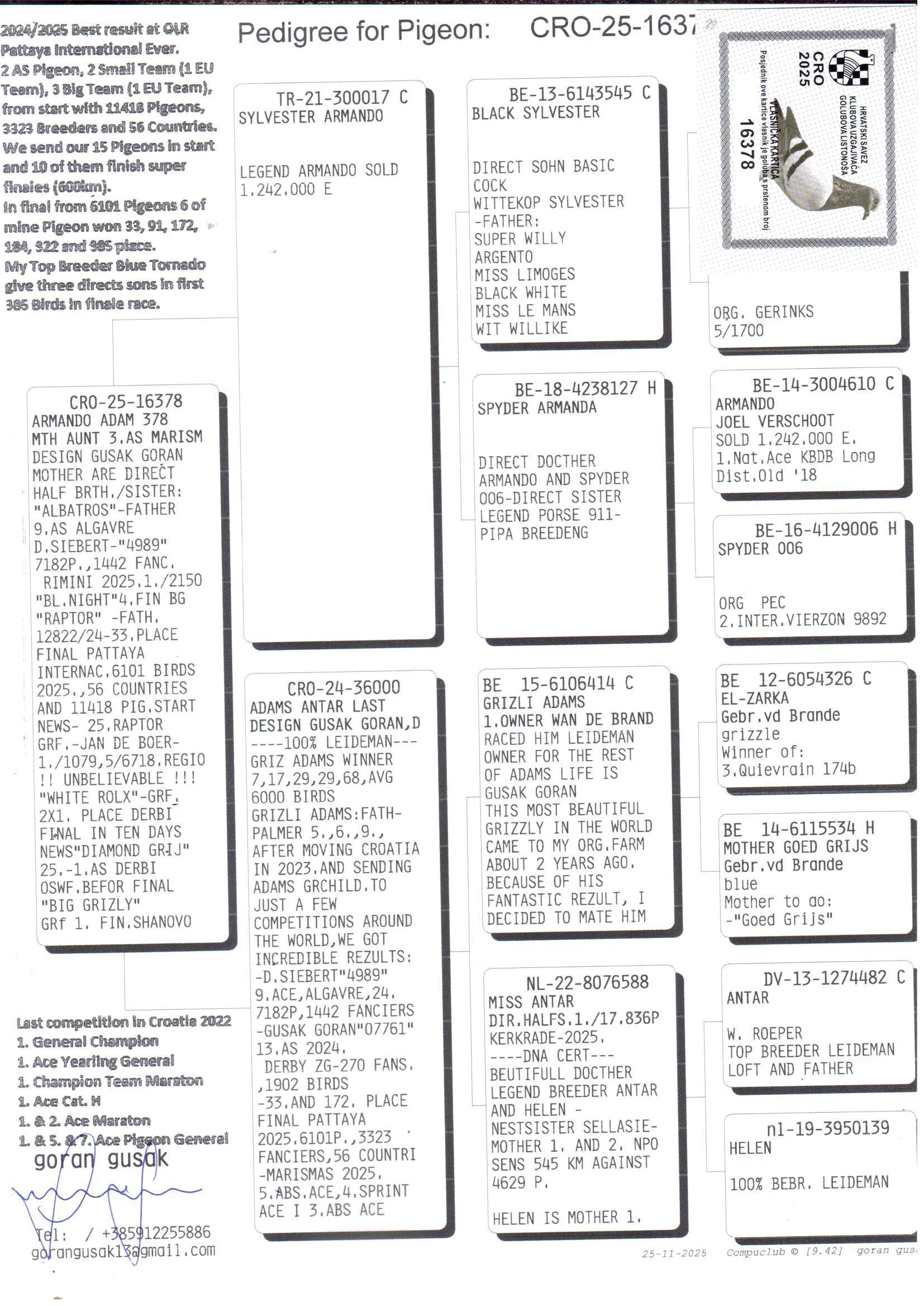pedigree Armando Adam 378 