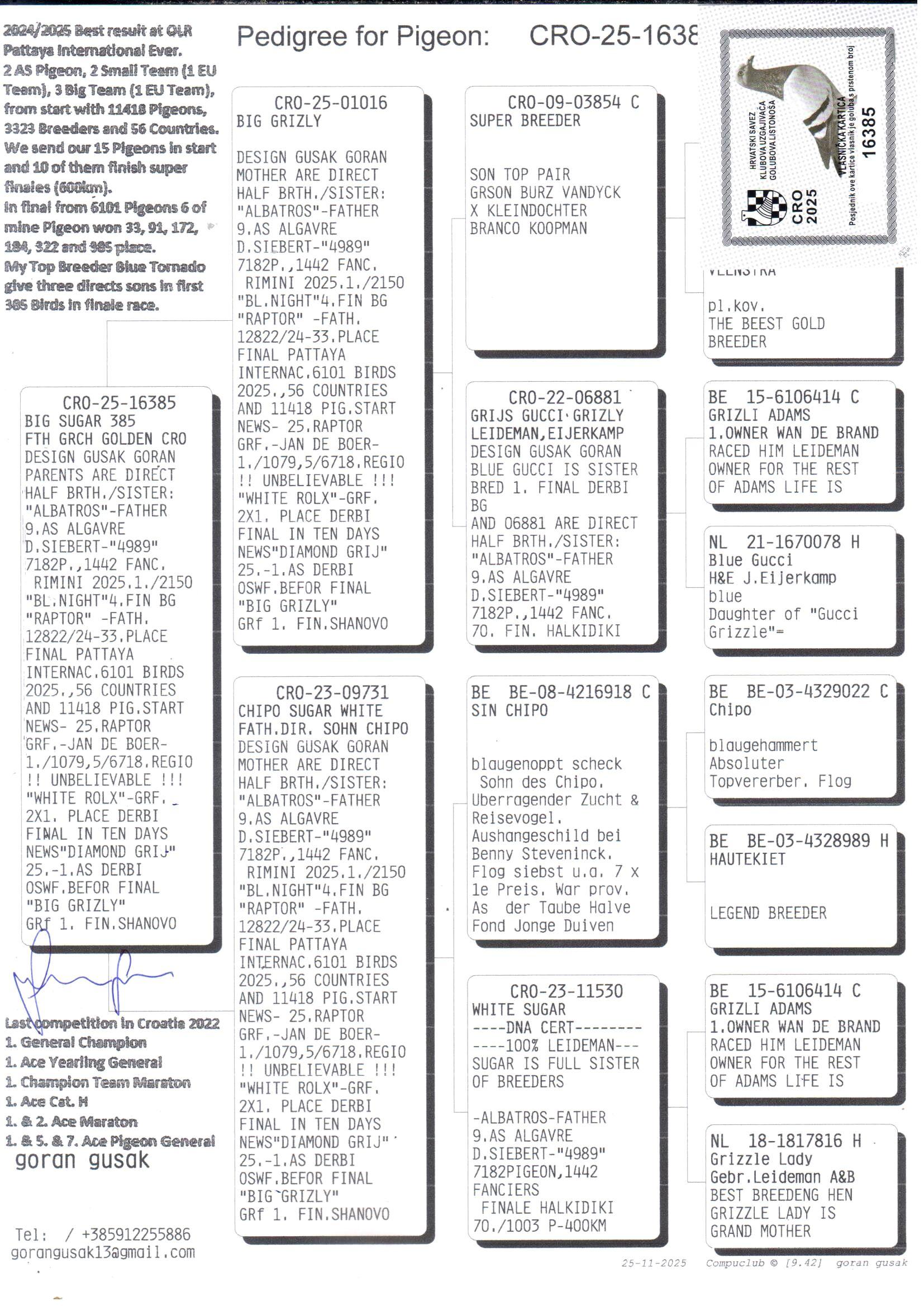 pedigree Big Sugar 385 