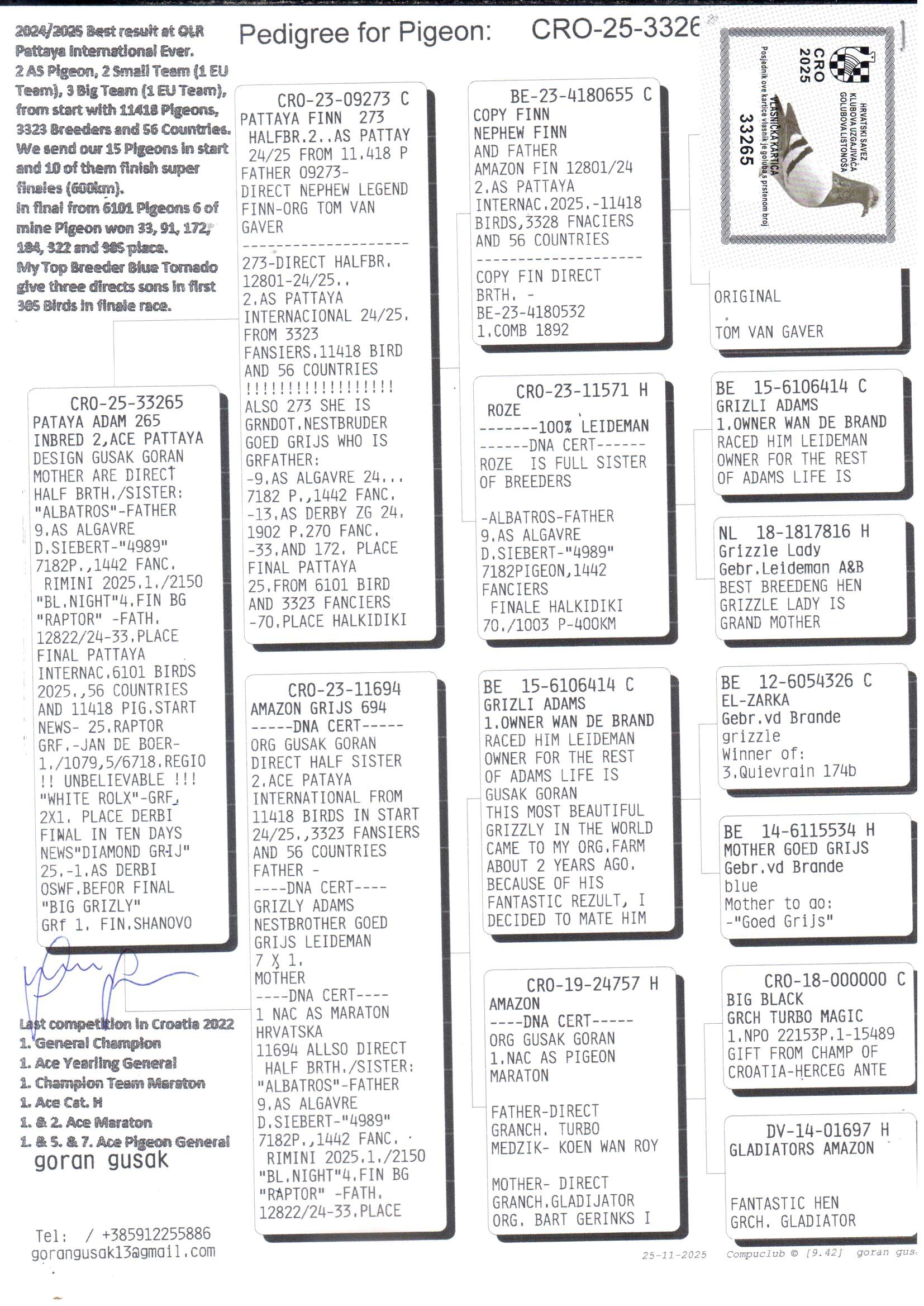 pedigree Pattaya Adam 265 