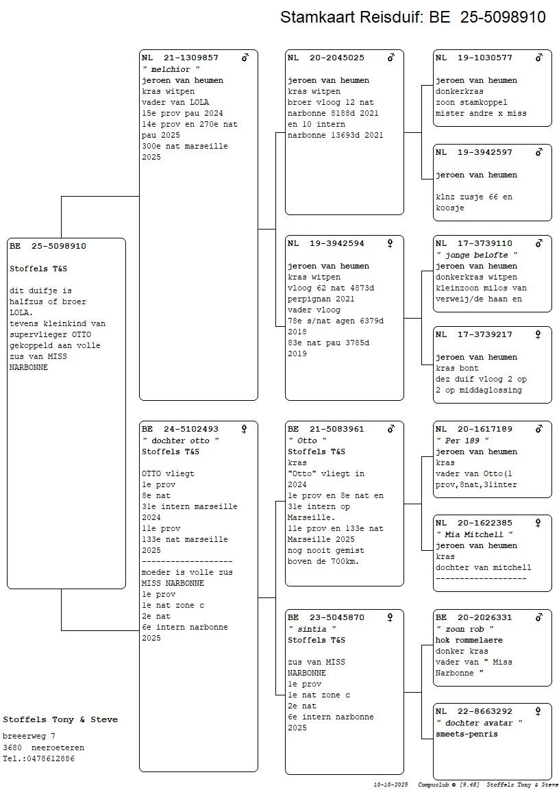 pedigree Melchior x Dochter Otto 