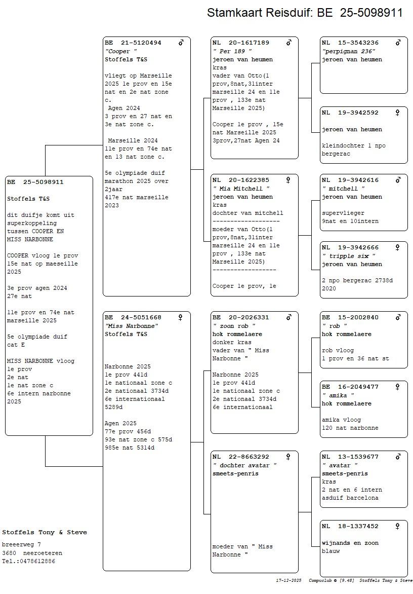 pedigree Cooper x Miss Narbonne 