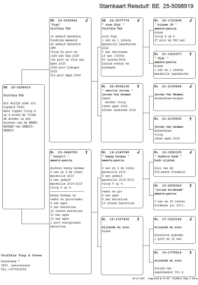 pedigree Vigo x Batgirl 