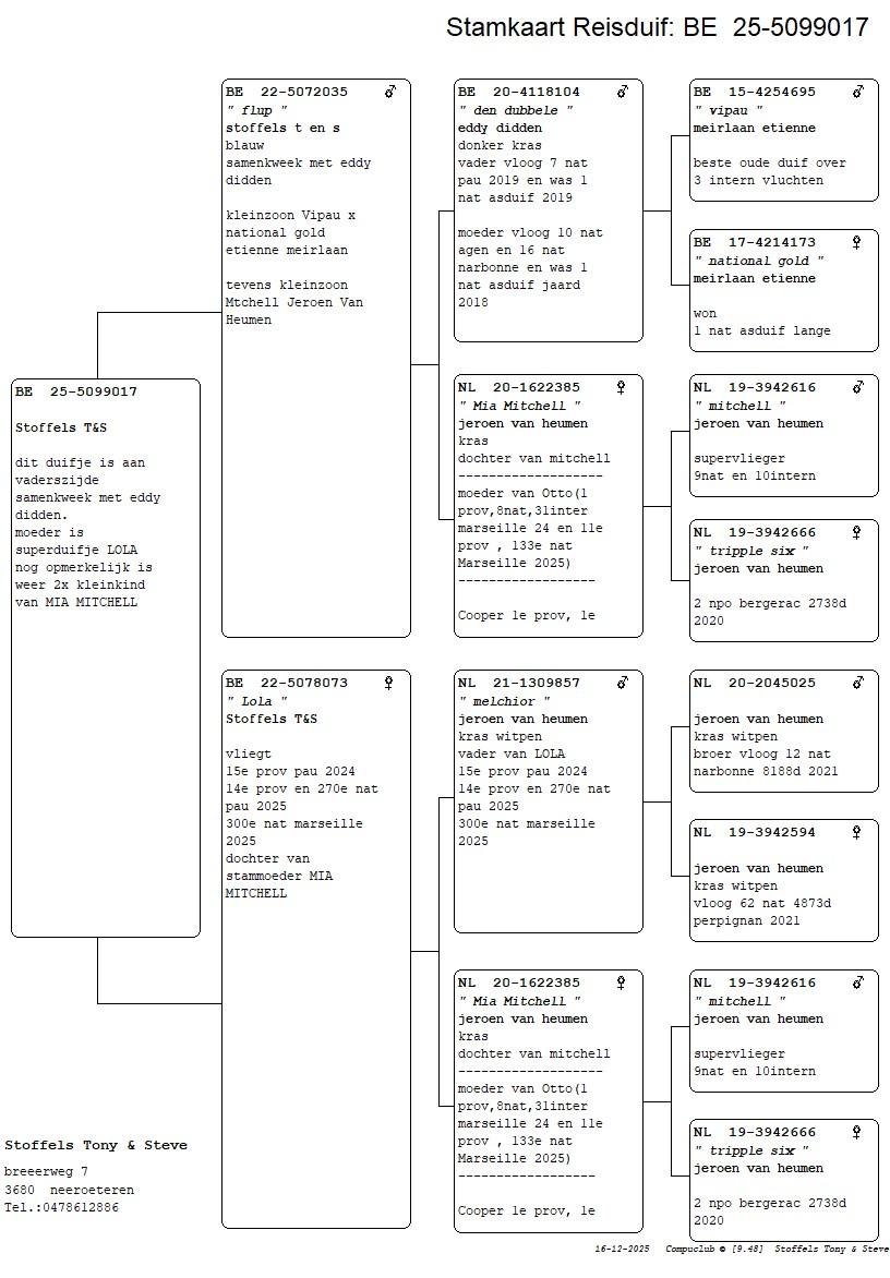 pedigree Flup x Lola 