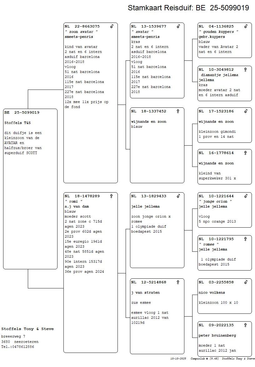 pedigree Zoon Avatar x Romi 
